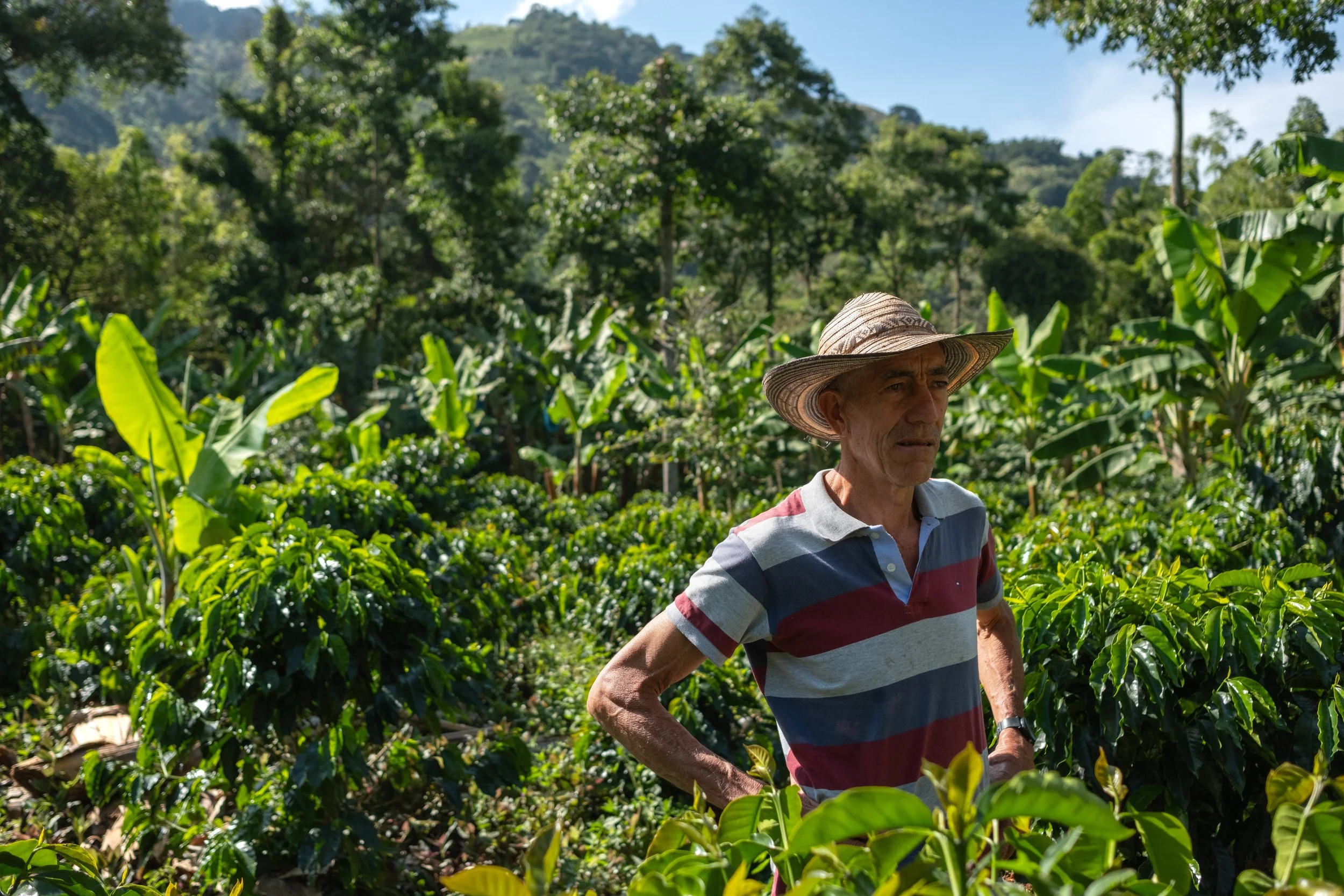 On location in Mistrató, Colombia