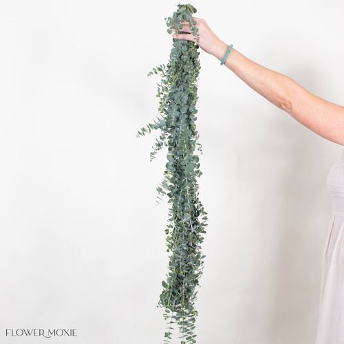 Box_Eucalyptus_Garland_-_12ft_0.jpg