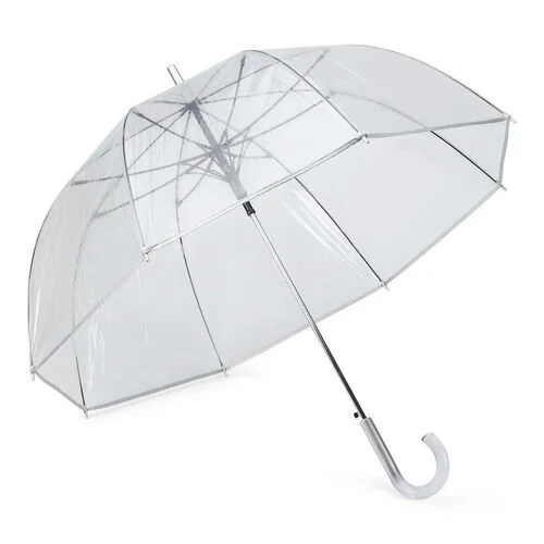 Clear Umbrella.jpg