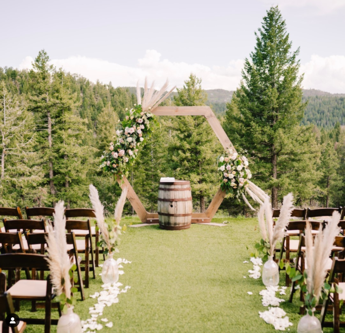 Single Hexagon Wedding Arch - Thick _1.jpg