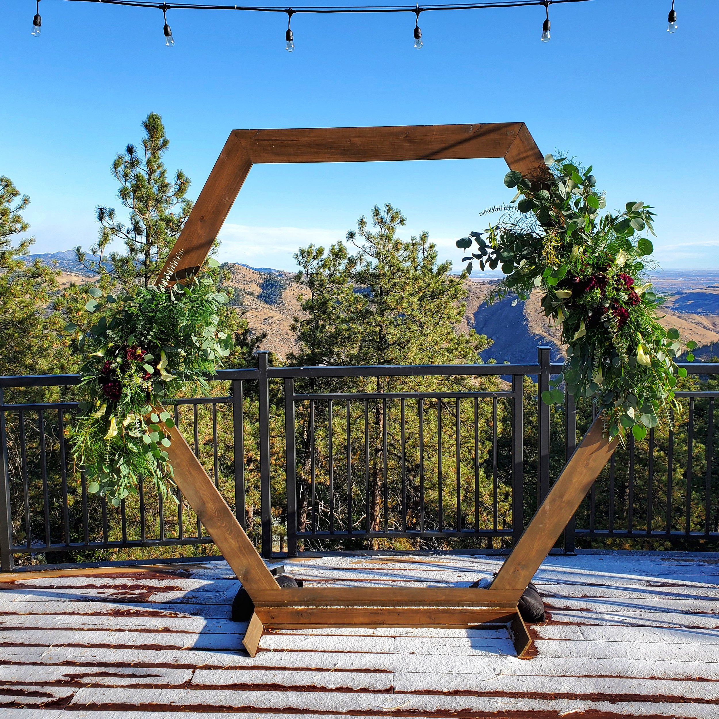 Single Hexagon Wedding Arch - Thick _2.jpg