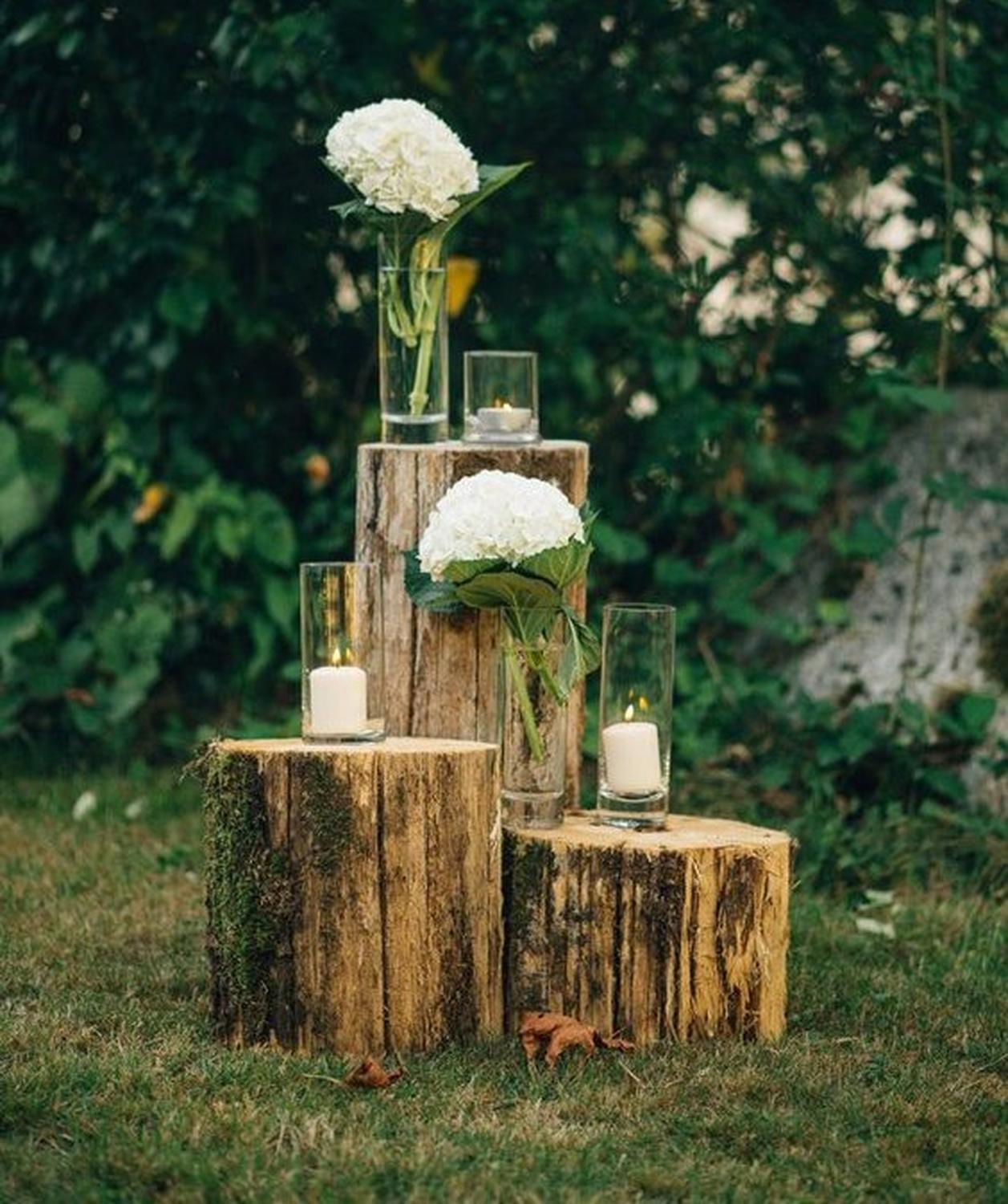 Tree Stumps_5 | Colorado Events Colorado Wedding Rentals.jpg
