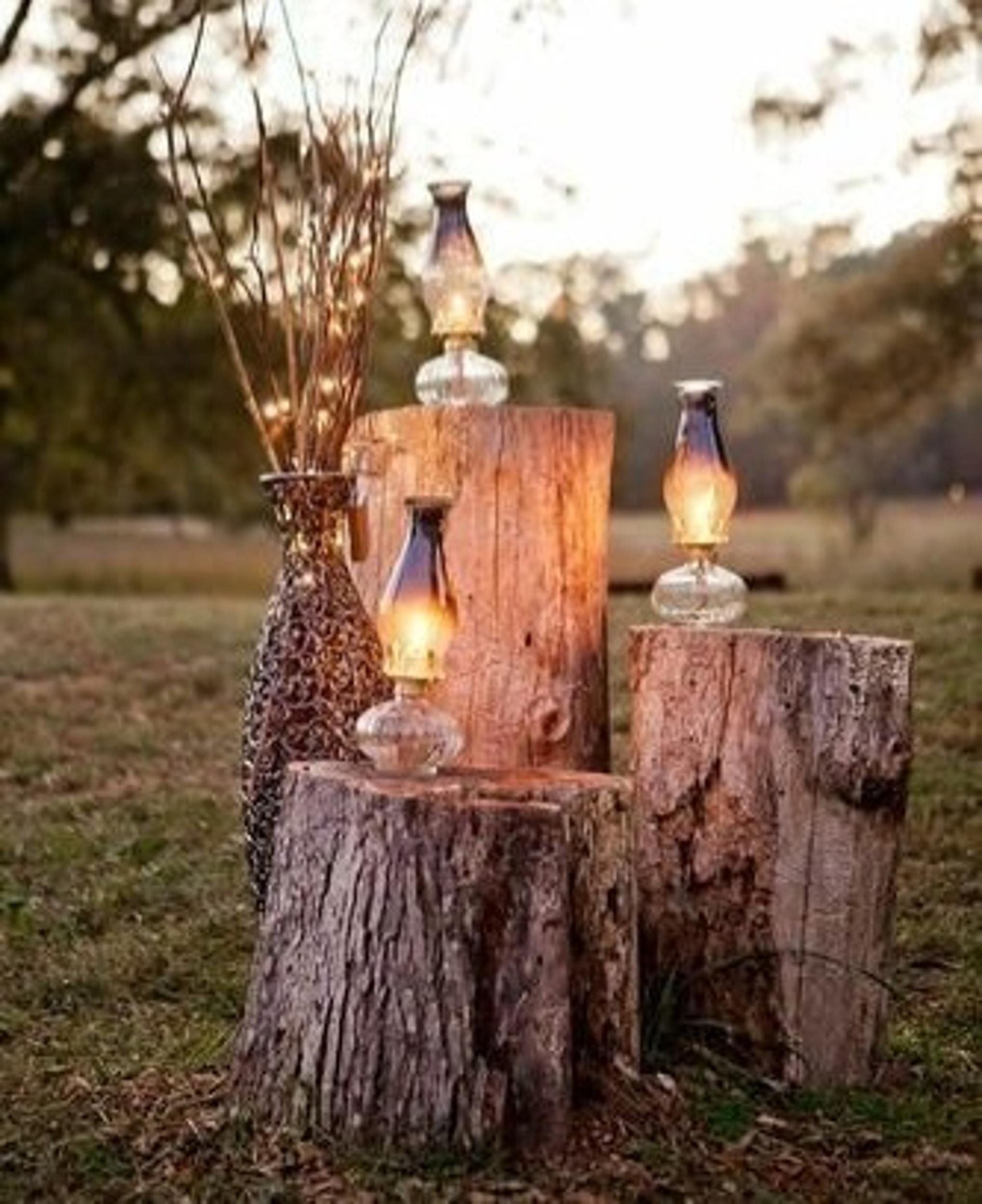 Tree Stumps_6 | Colorado Events Colorado Wedding Rentals.jpg