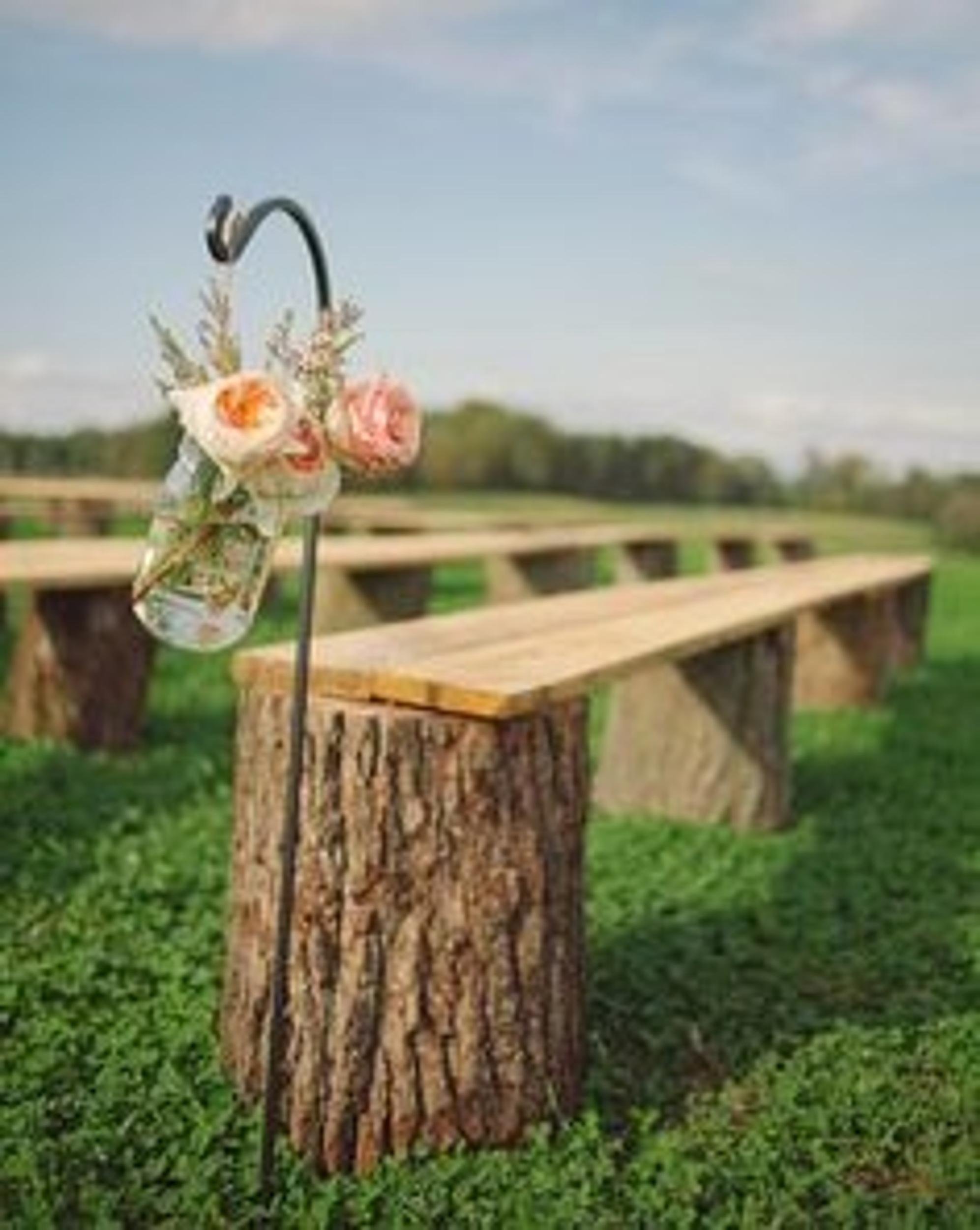 Tree Stumps_7 | Colorado Events Colorado Wedding Rentals.jpg