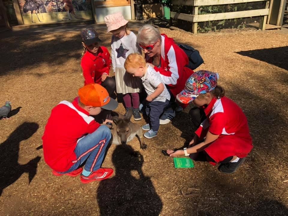 Group of children and an adult gathered around a small kangaroo in an outdoor setting.