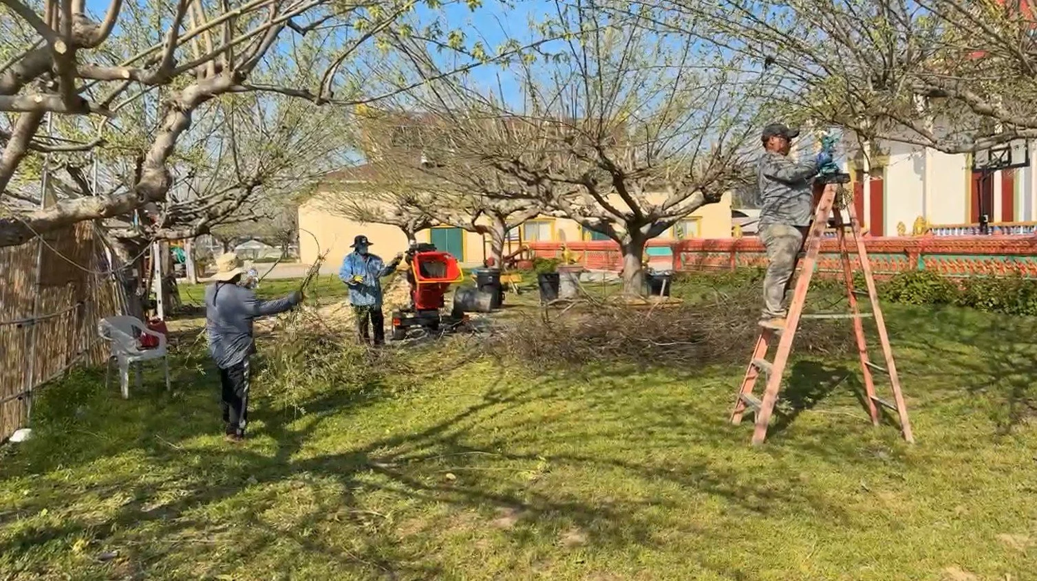 Screenshot 2026-03-07 190135.jpg