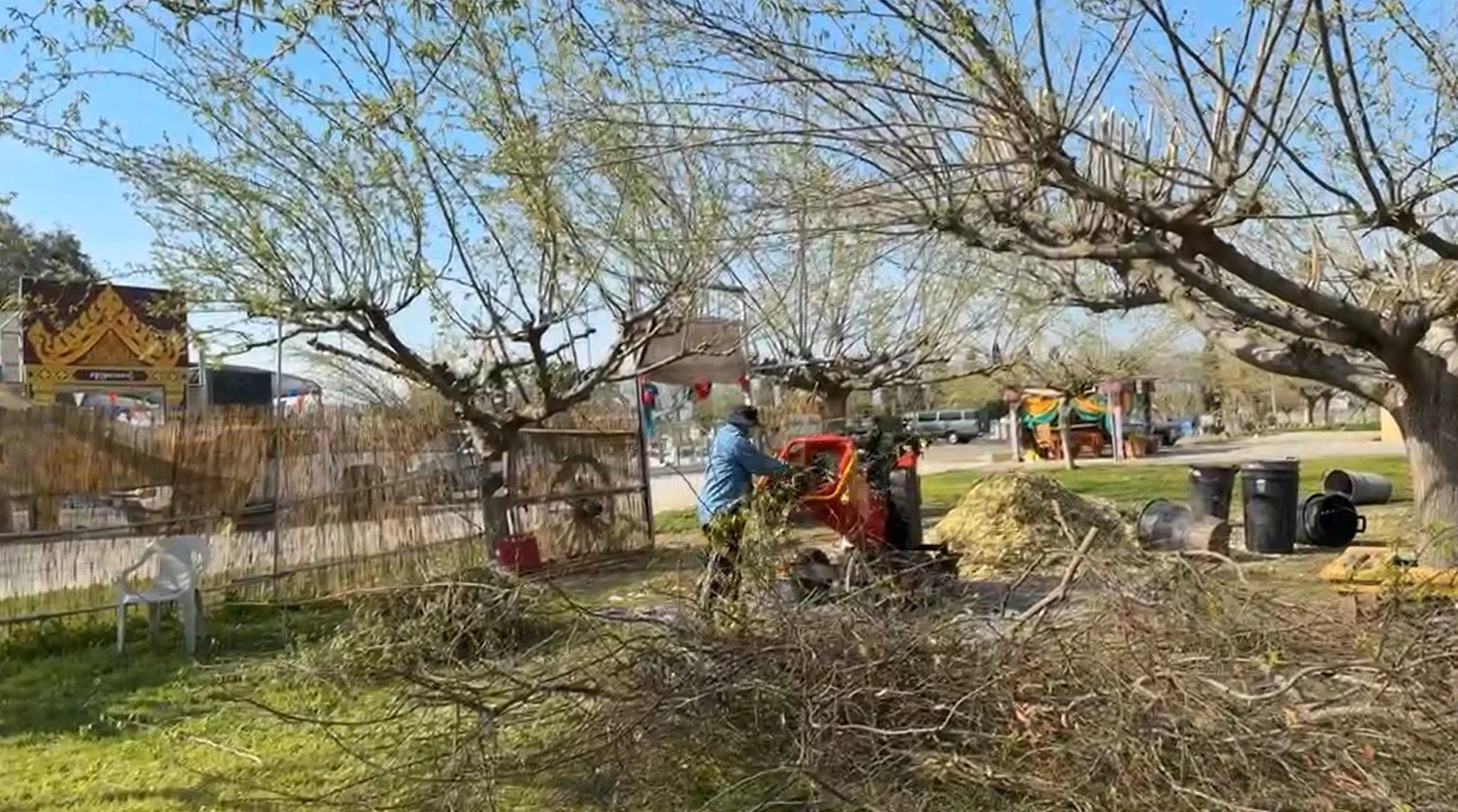 Screenshot 2026-03-07 185904.jpg