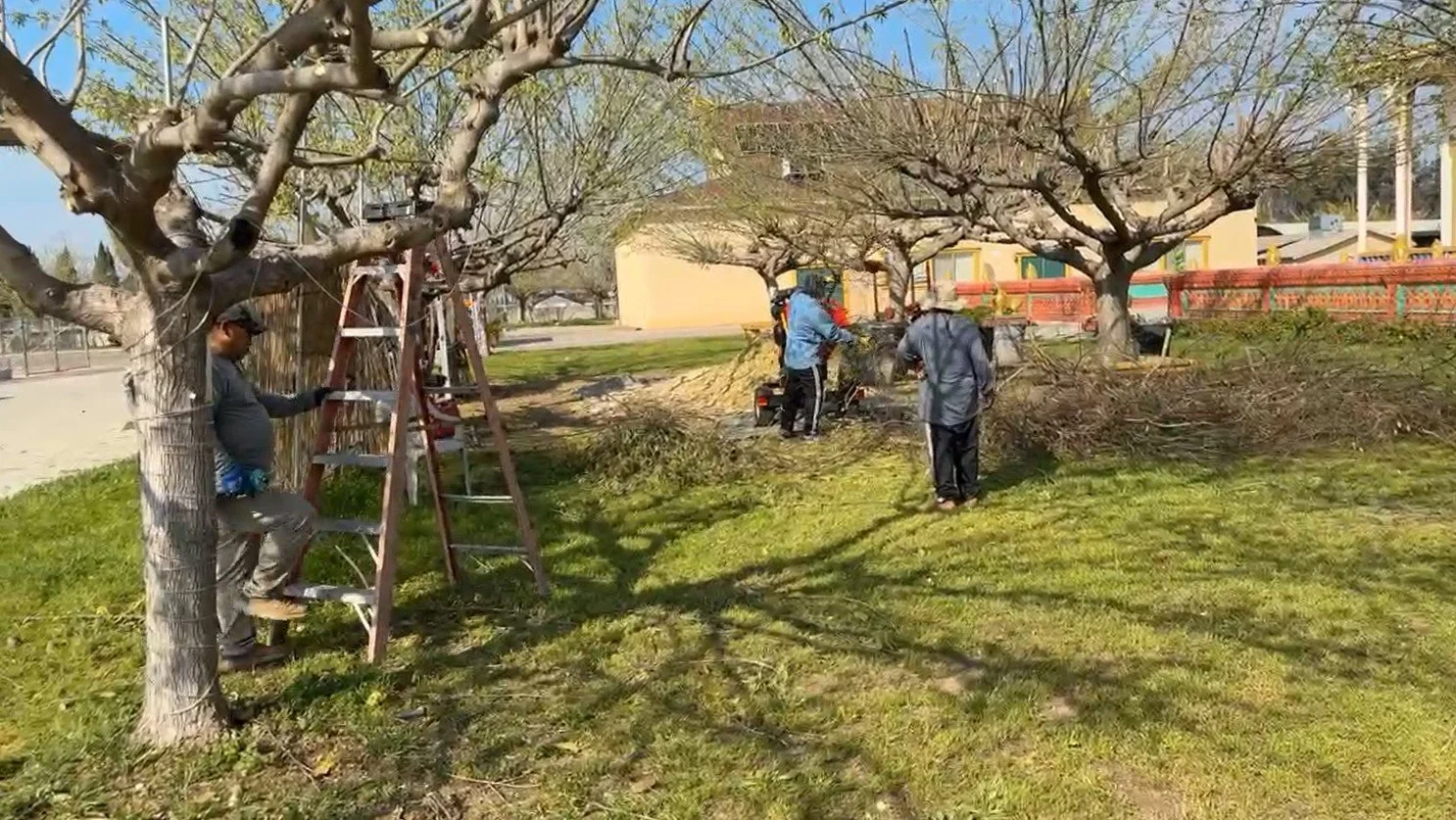 Screenshot 2026-03-07 185953.jpg