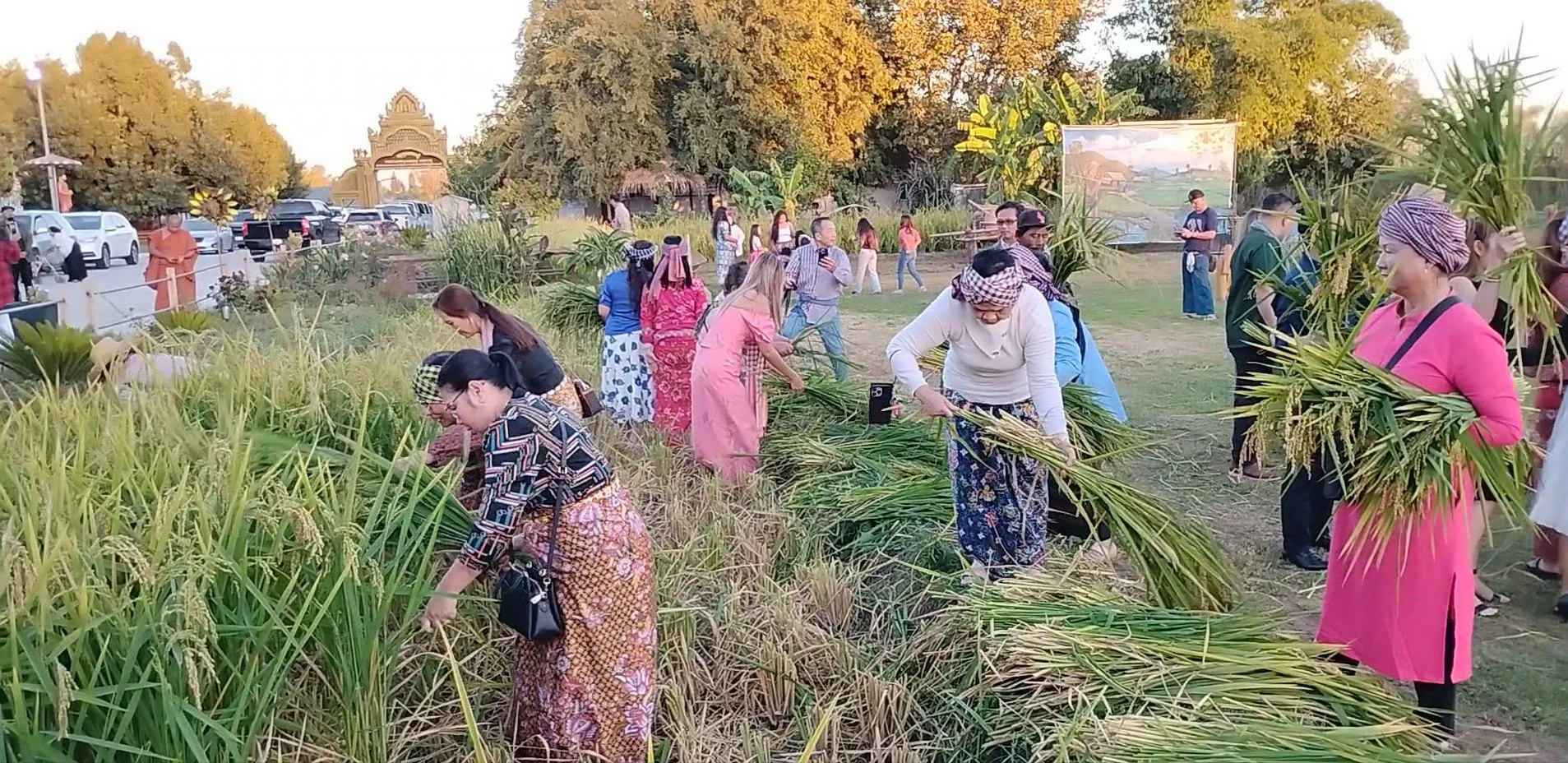 Screenshot 2025-11-10 142443.jpg