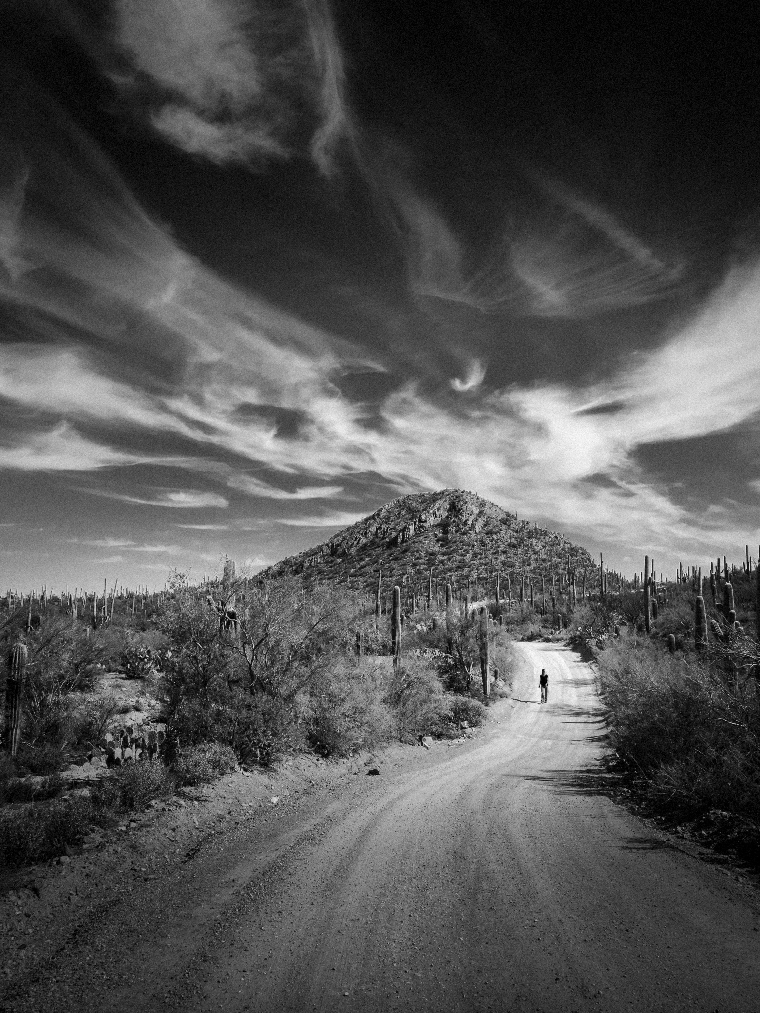 A black and white photograph of a desert landscape with a dirt road winding toward a hill in the background, tall cacti along the sides, and a person walking on the road under a sky filled with wispy clouds.