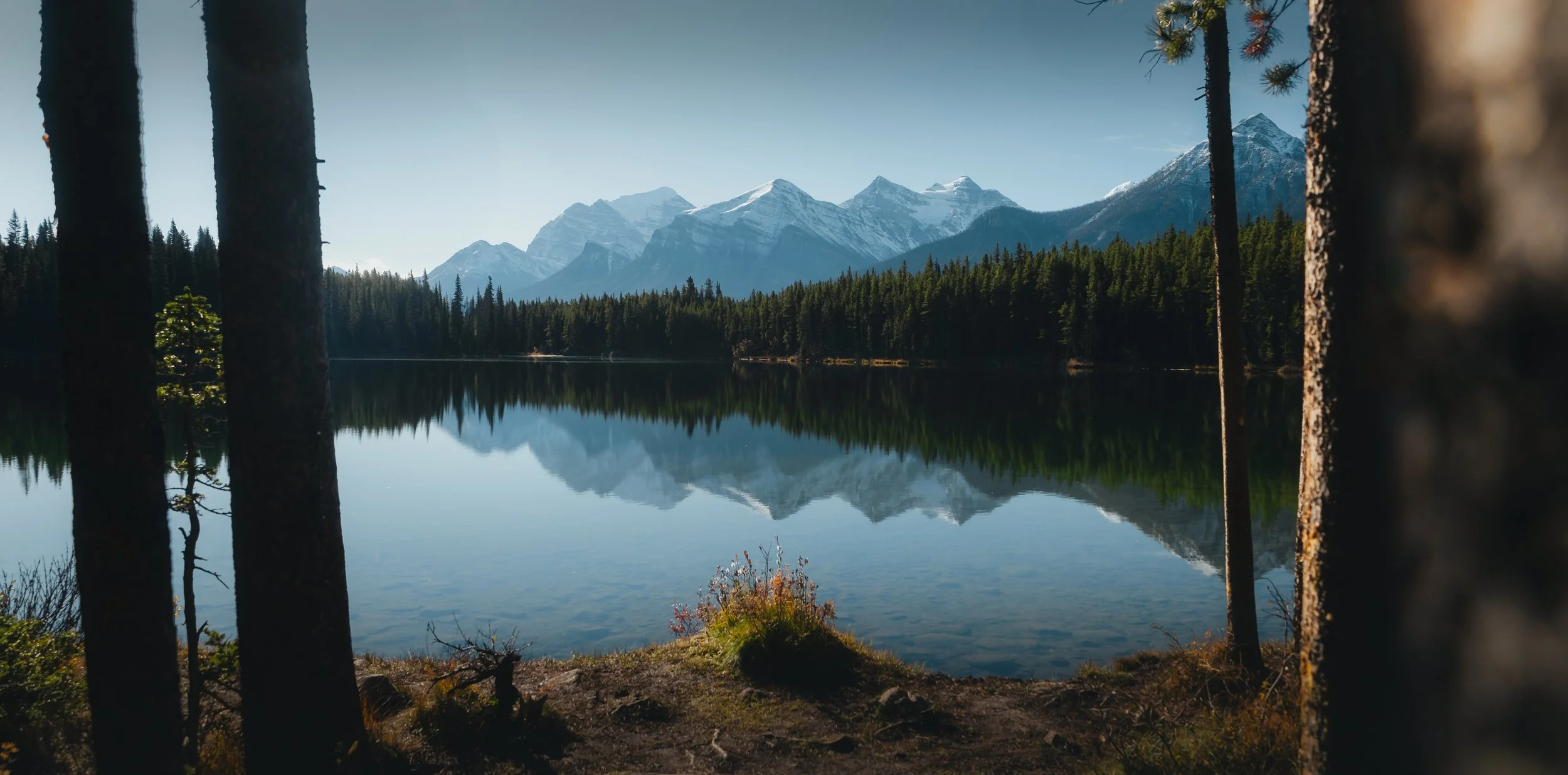 A peaceful mountain lake surrounded by a forest of pine trees, with snow-capped mountains reflected in the water, under a clear blue sky.