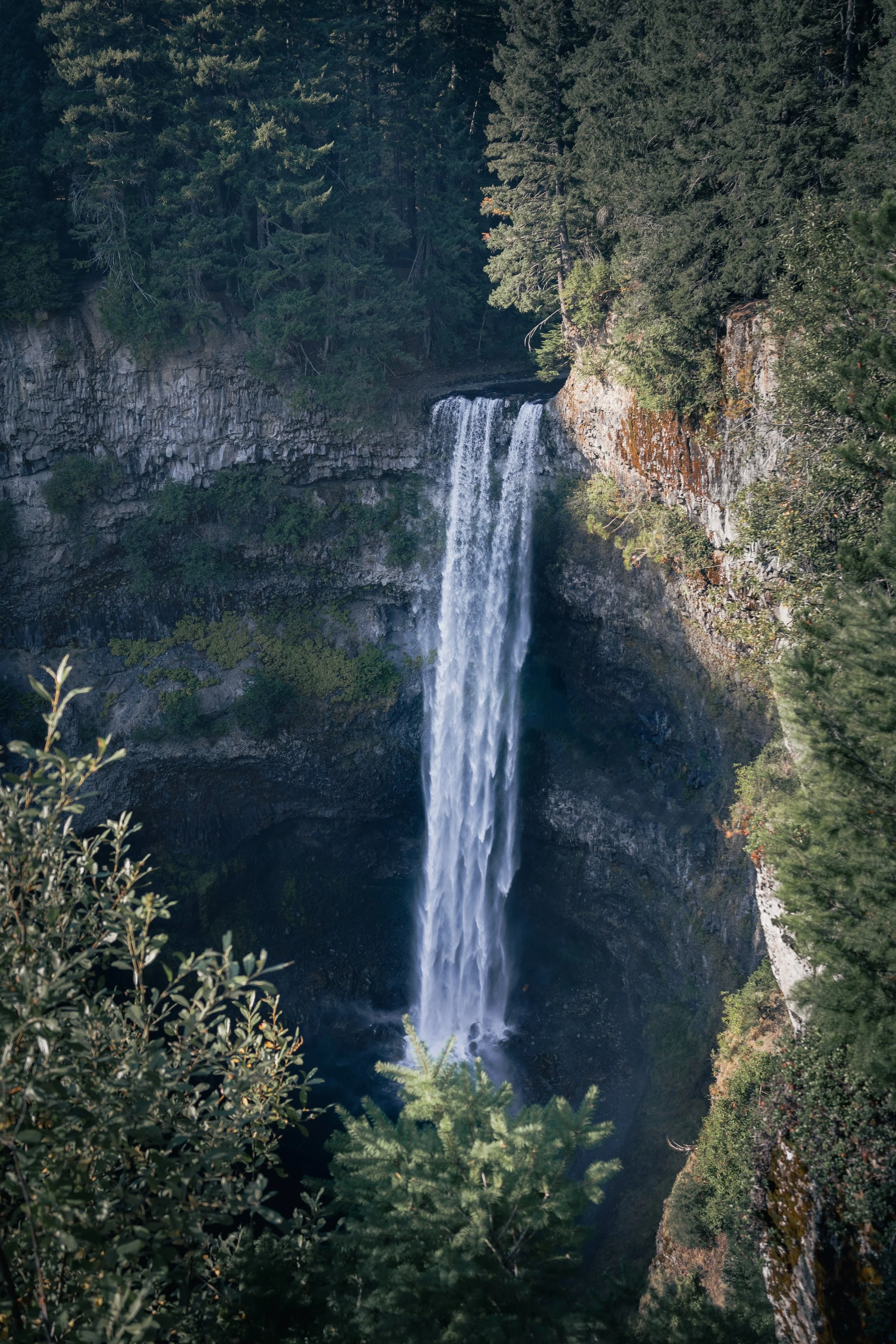 Majestic waterfall cascading down a rocky cliff surrounded by dense green trees.
