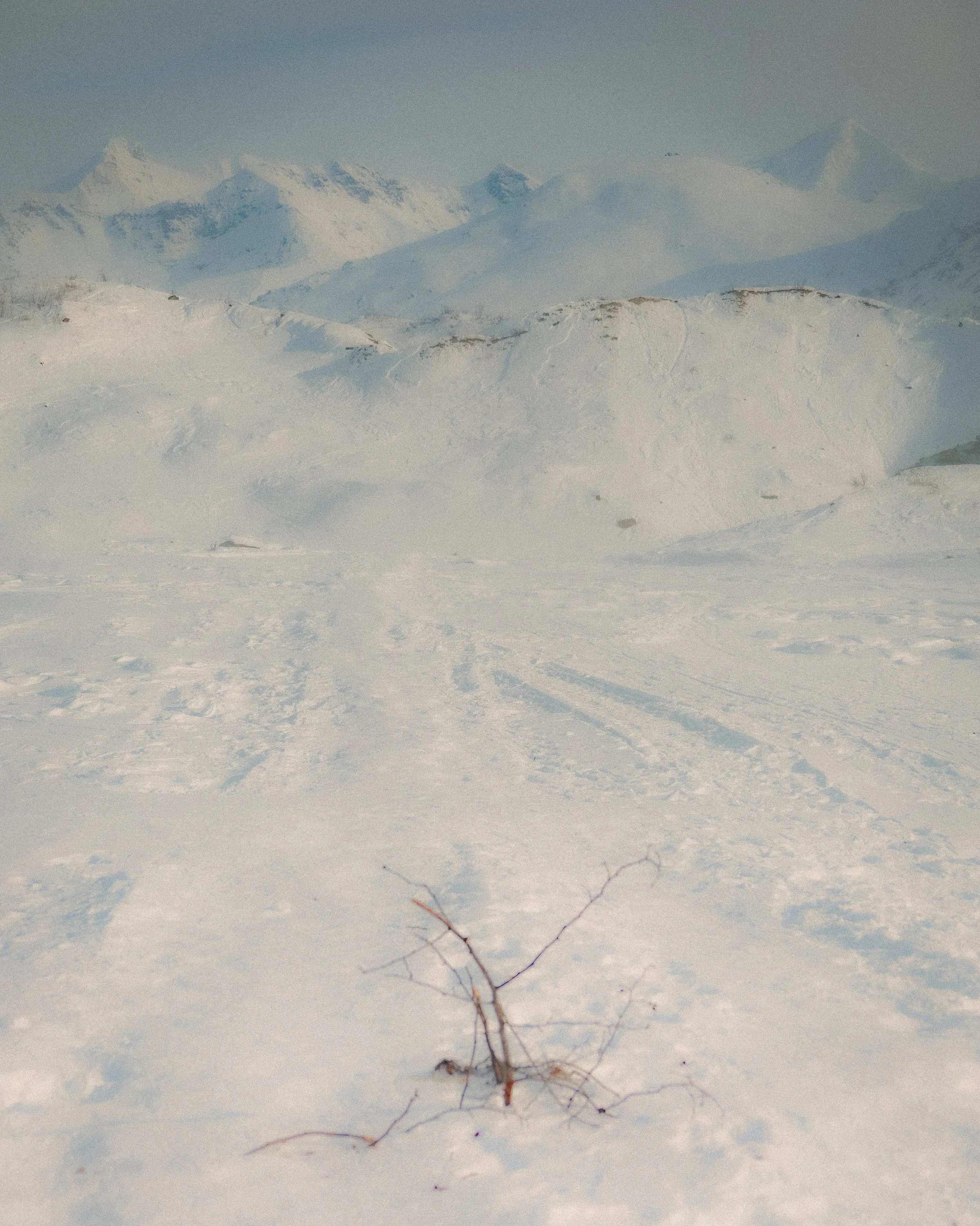 Snow-covered landscape with distant mountains in the background and a small, leafless plant or branch in the foreground