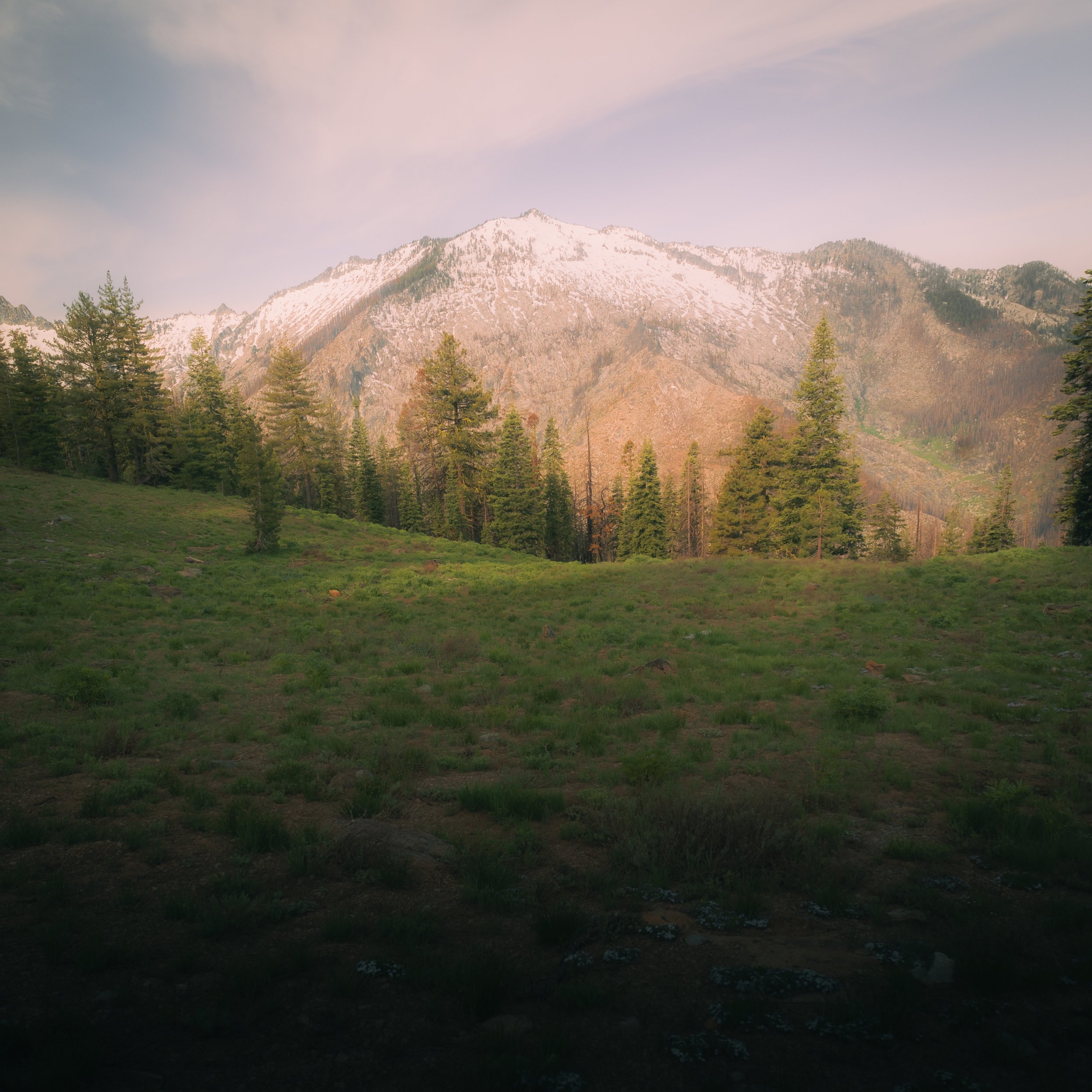 Scenic landscape with snow-capped mountains, evergreen trees, and green meadow under a pastel sky.