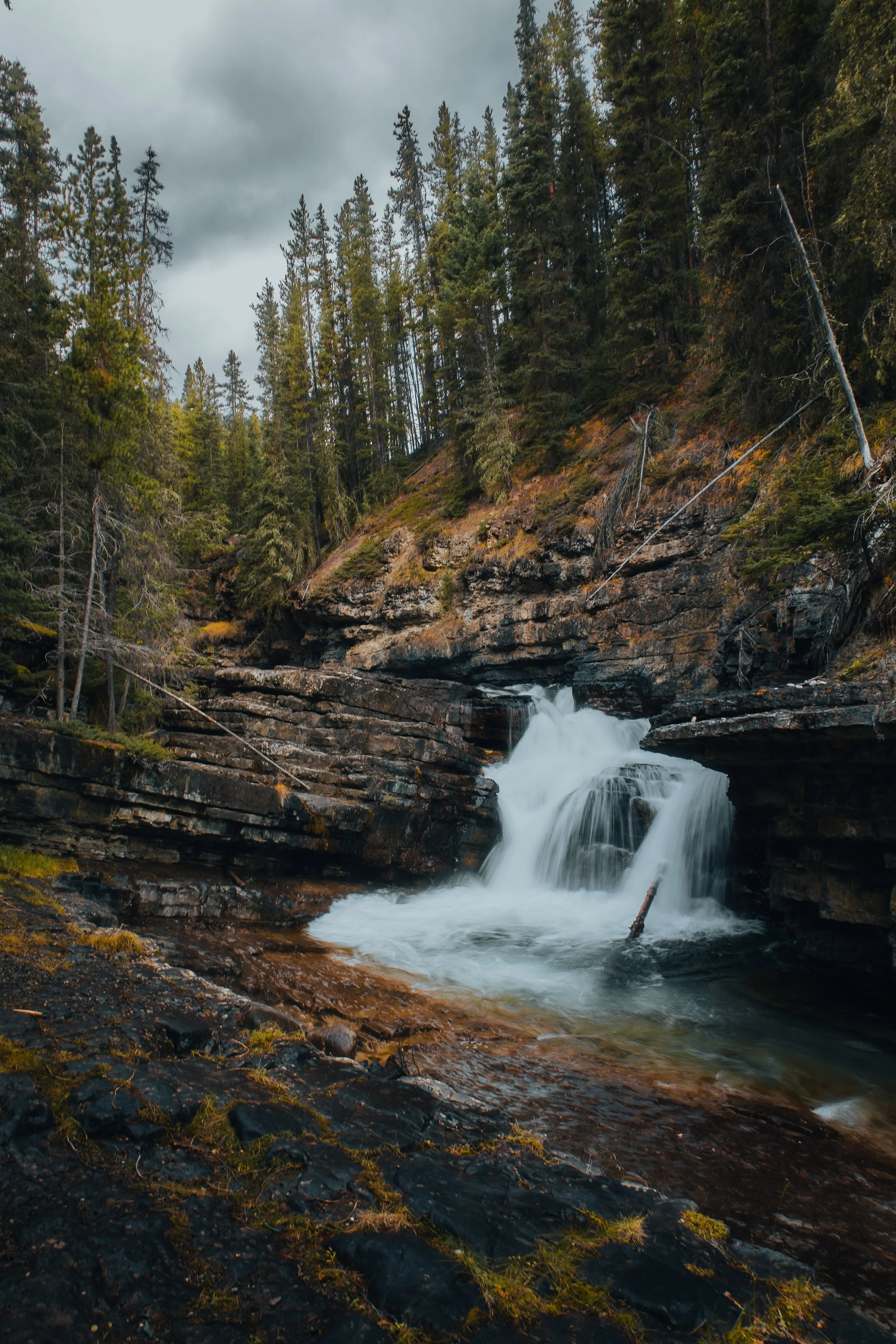 A small waterfall flowing through a rocky forested landscape with tall evergreen trees and a cloudy sky.