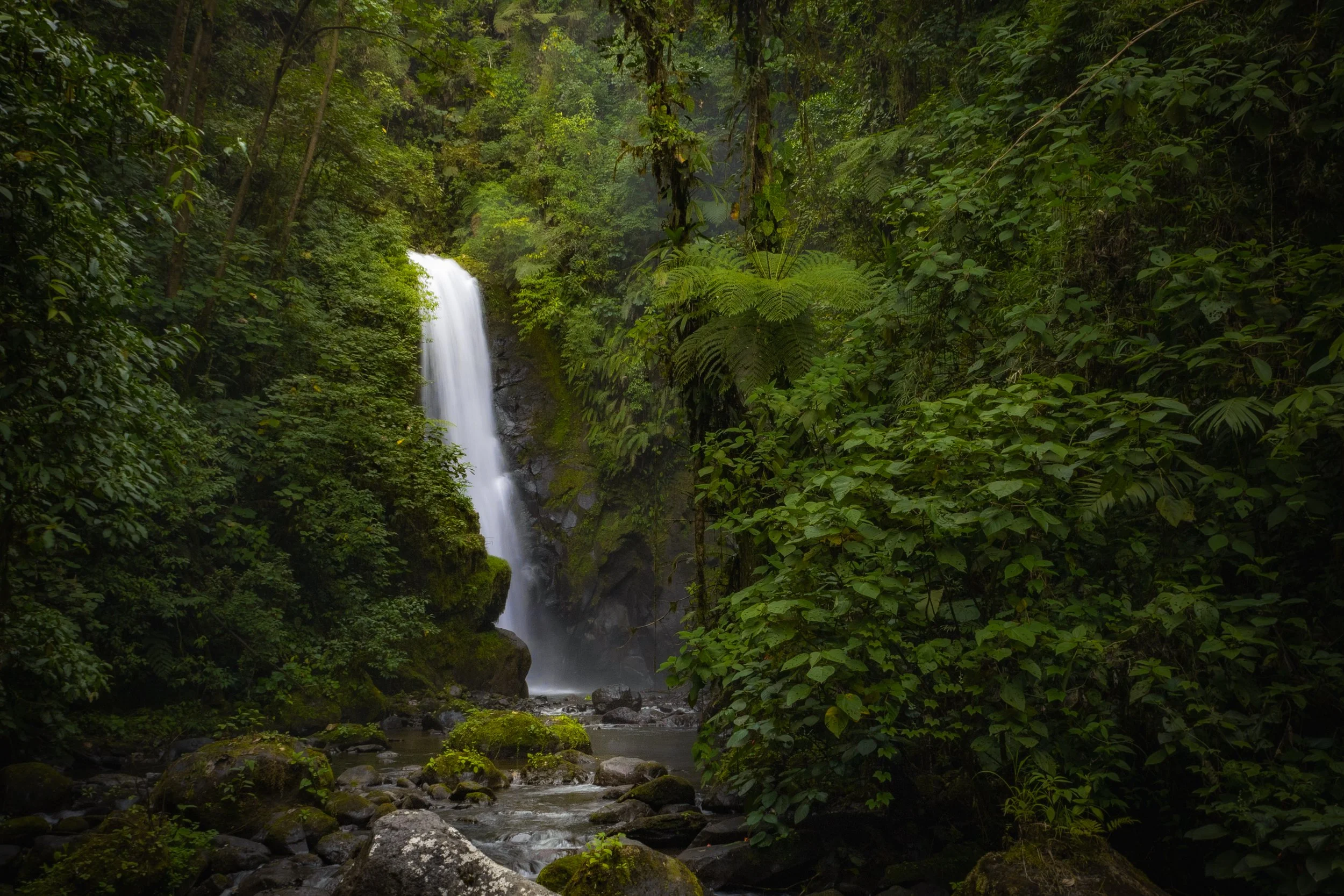 Waterfall cascading down rocks in dense green jungle