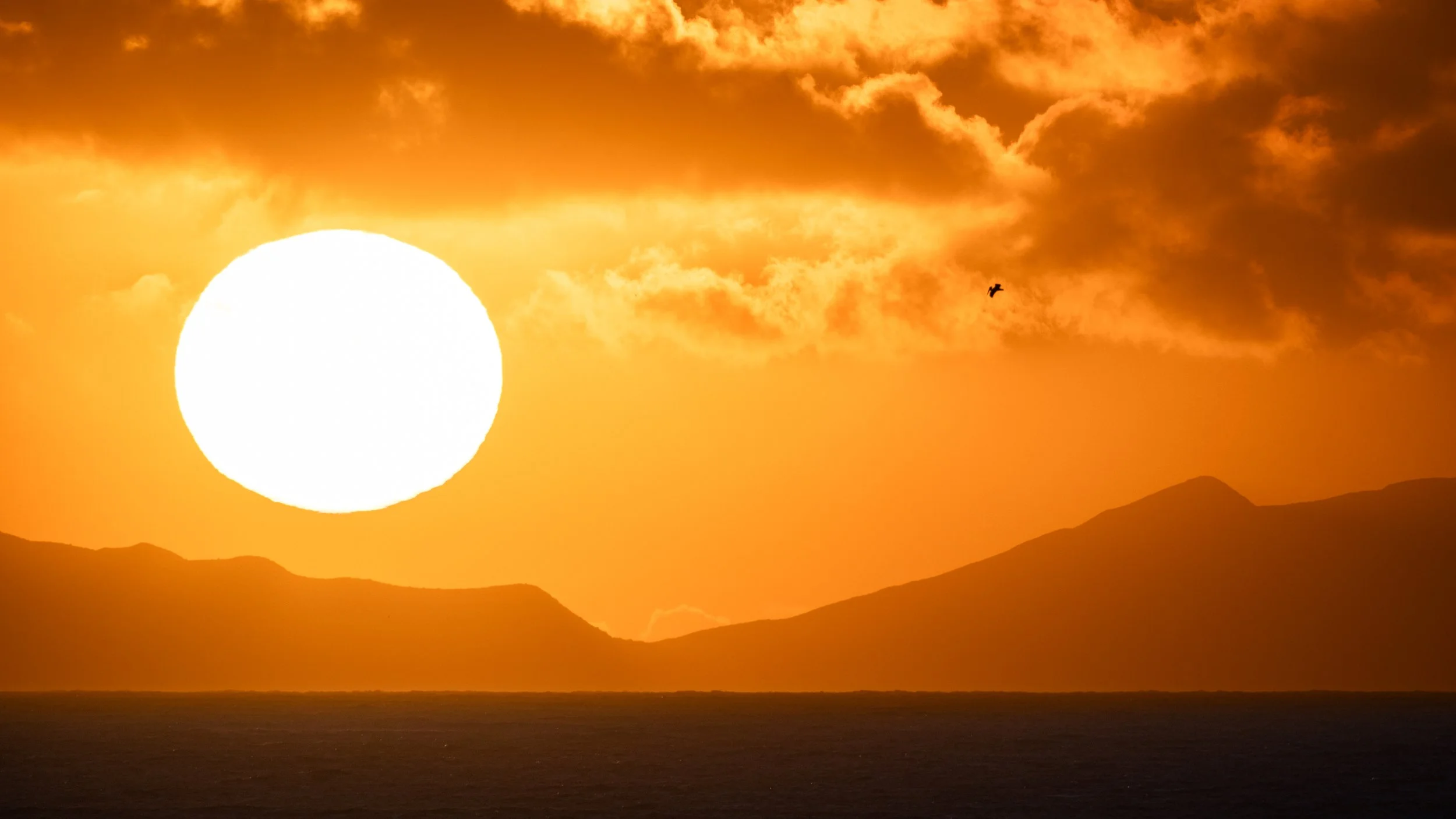 A vibrant sunset over mountains with clouds in the sky and a bird flying.