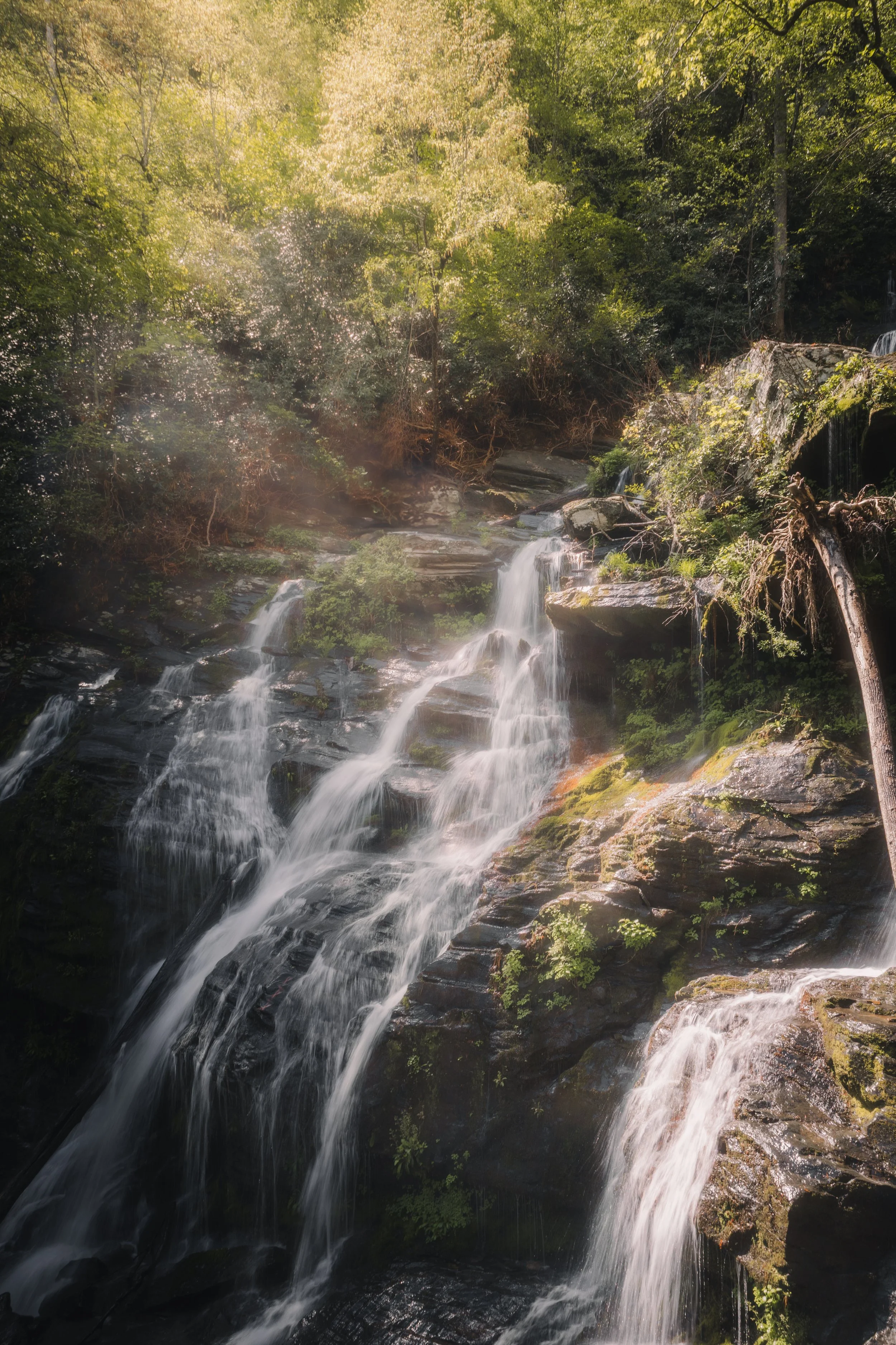 A multi-tiered waterfall flowing over moss-covered rocks in a lush green forest with sunlight filtering through the leaves.