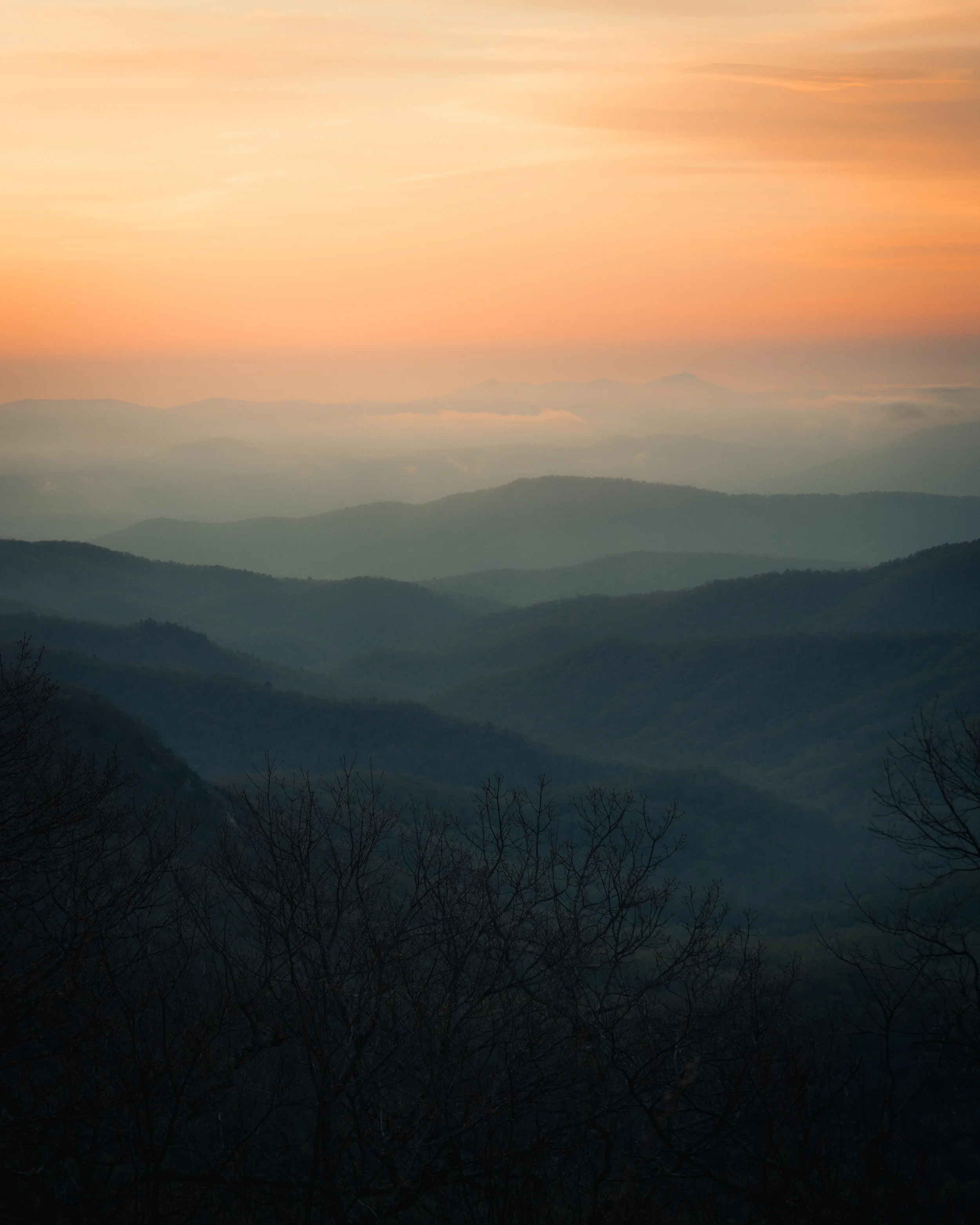 Sunset over layered mountains with bare trees in the foreground and pink and orange sky.