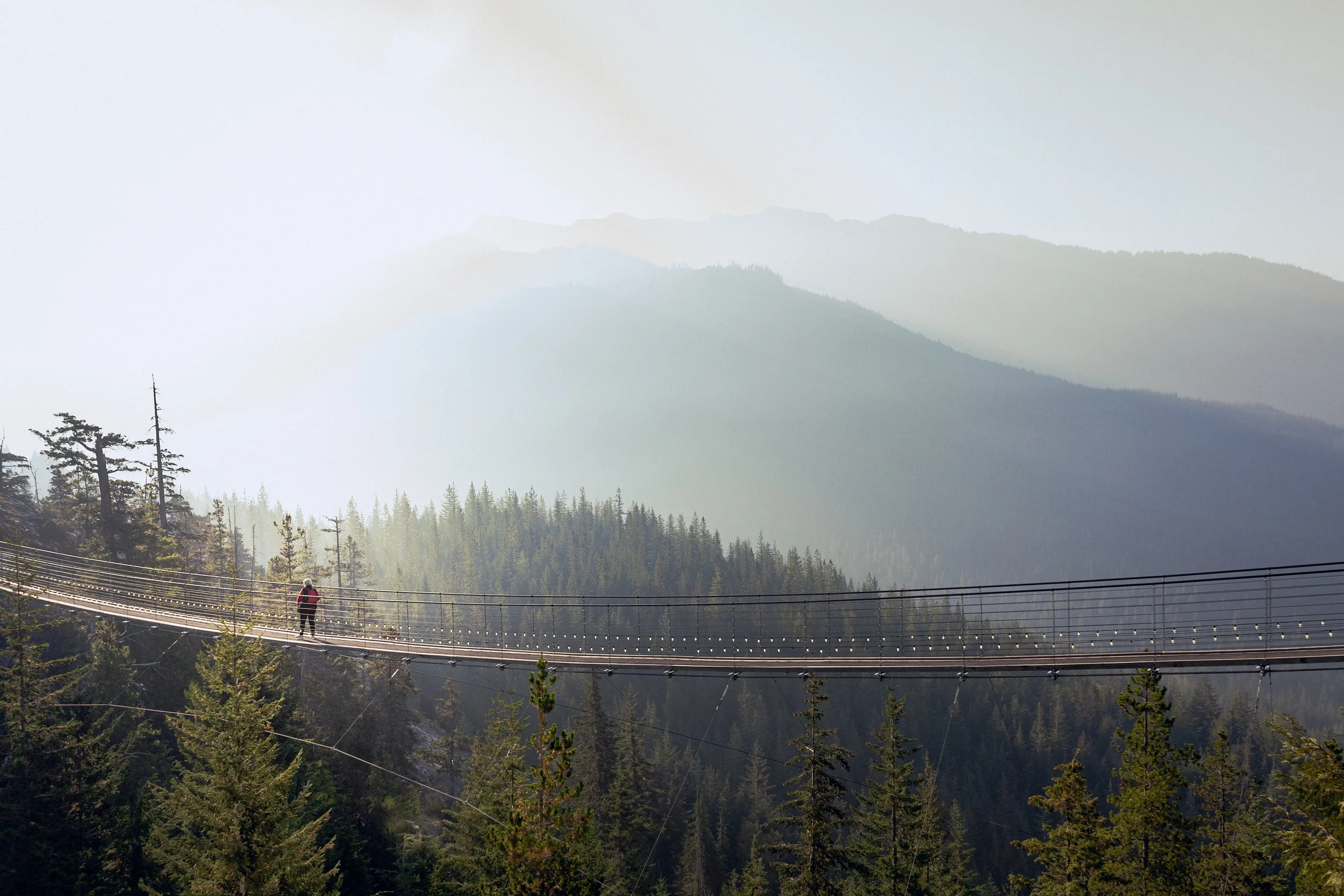 A person crossing a suspension bridge over a forested mountain landscape, with misty mountains in the background.