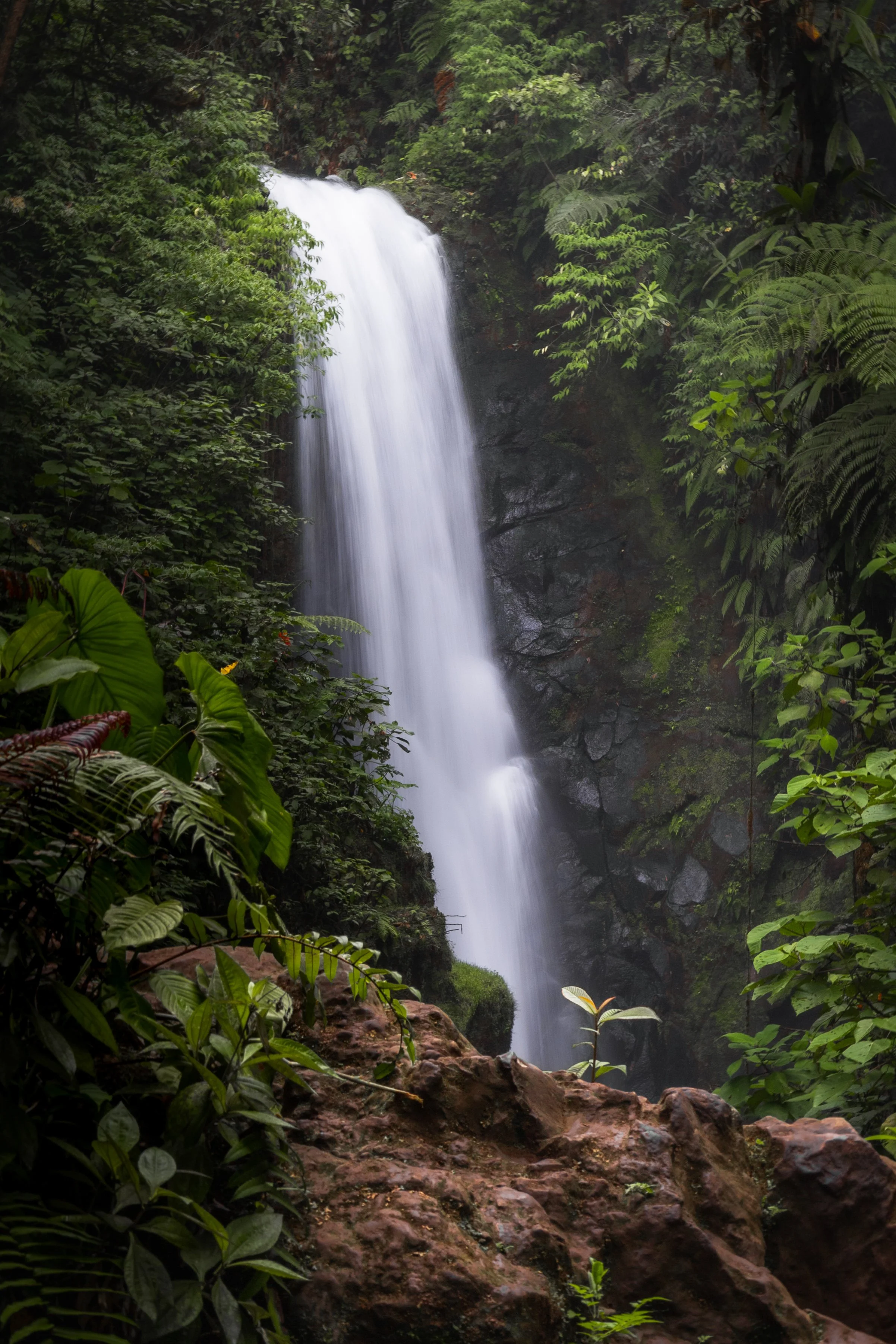 Waterfall flowing down a rocky cliff surrounded by dense green jungle foliage.