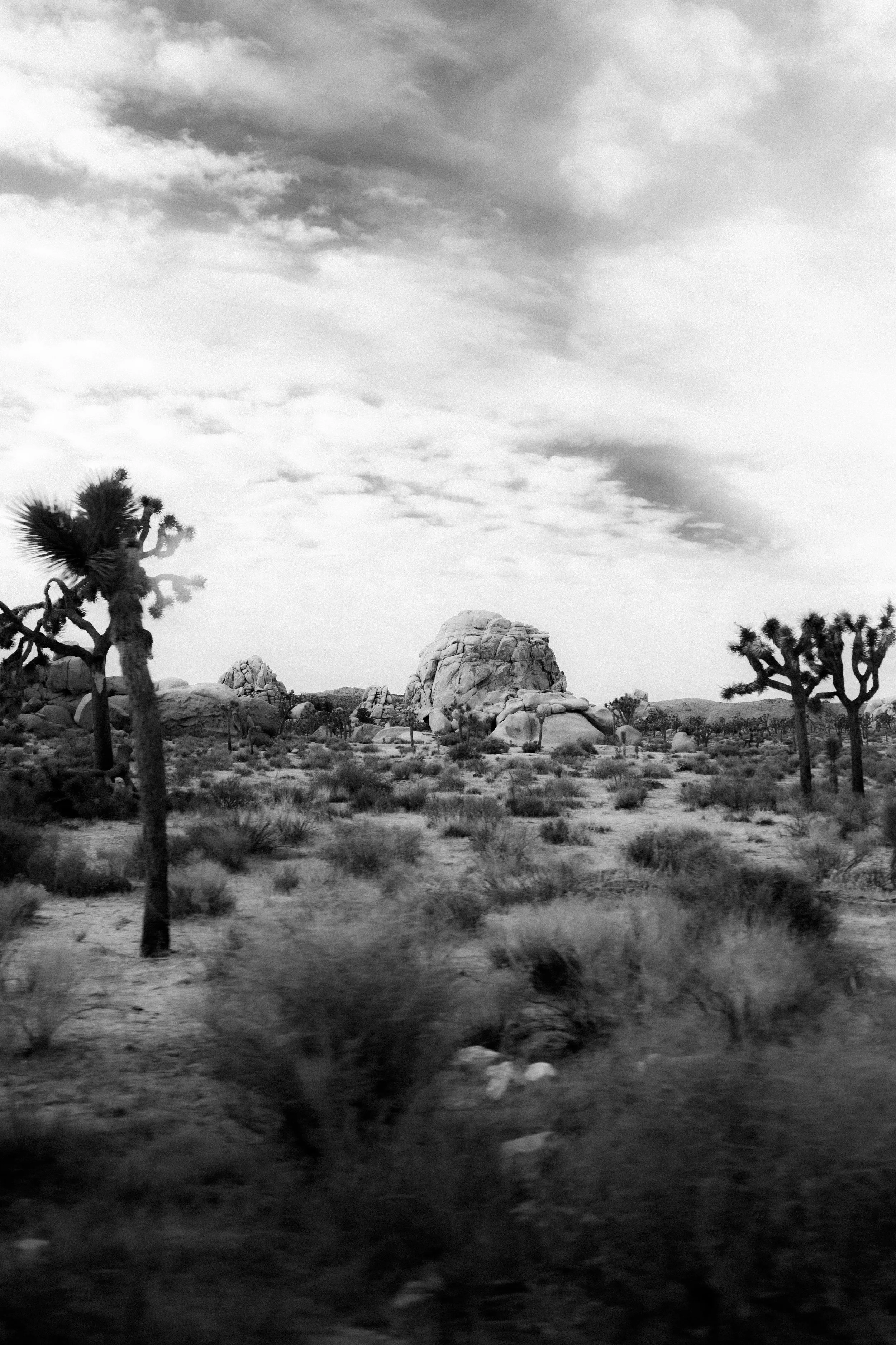 Black and white photograph of desert landscape with Joshua trees, large rock formations, and a cloudy sky.
