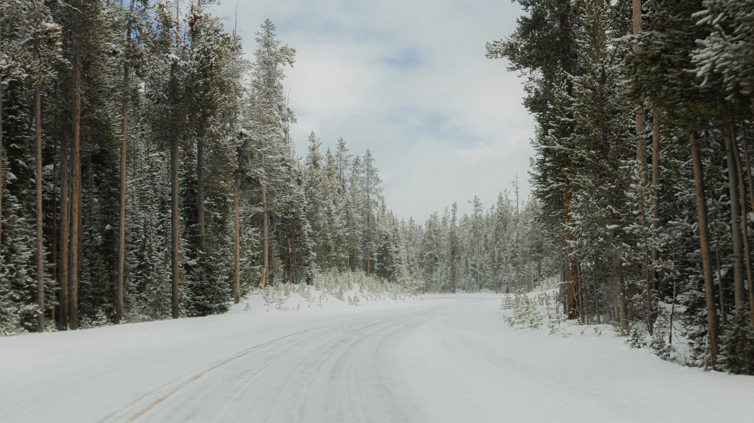 Snow-covered road winding through a forest of tall pine trees with snow on their branches on a cloudy day.