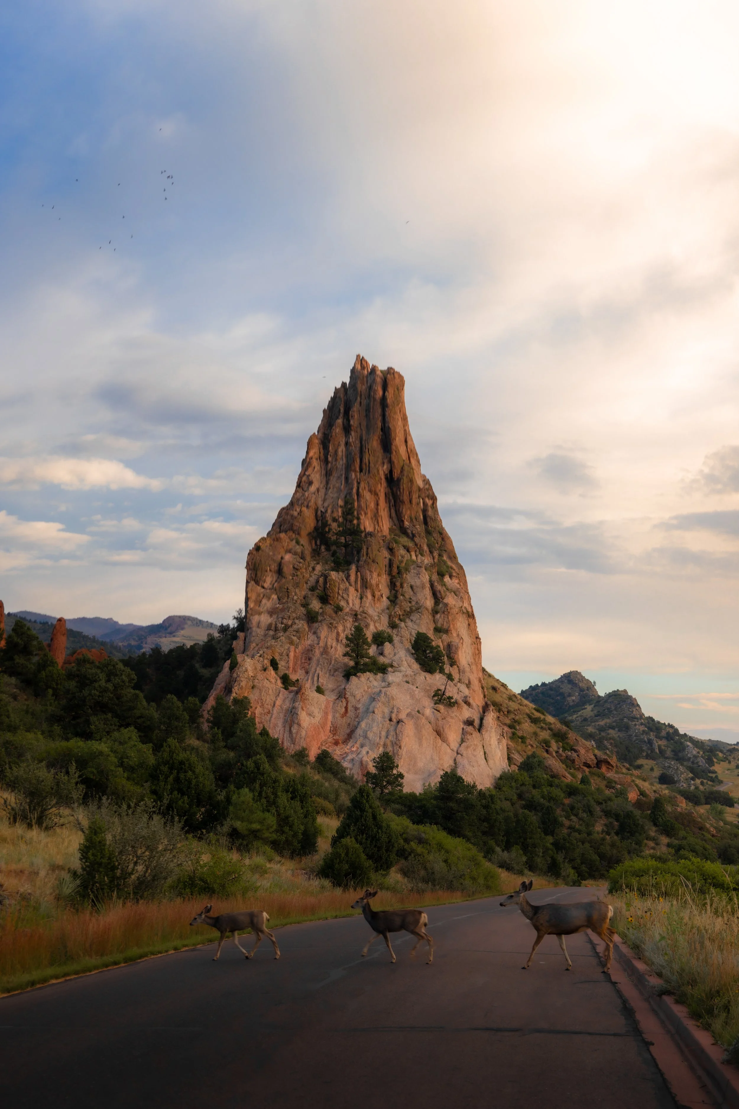Three deer crossing a road in front of a large rocky mountain under a partly cloudy sky.