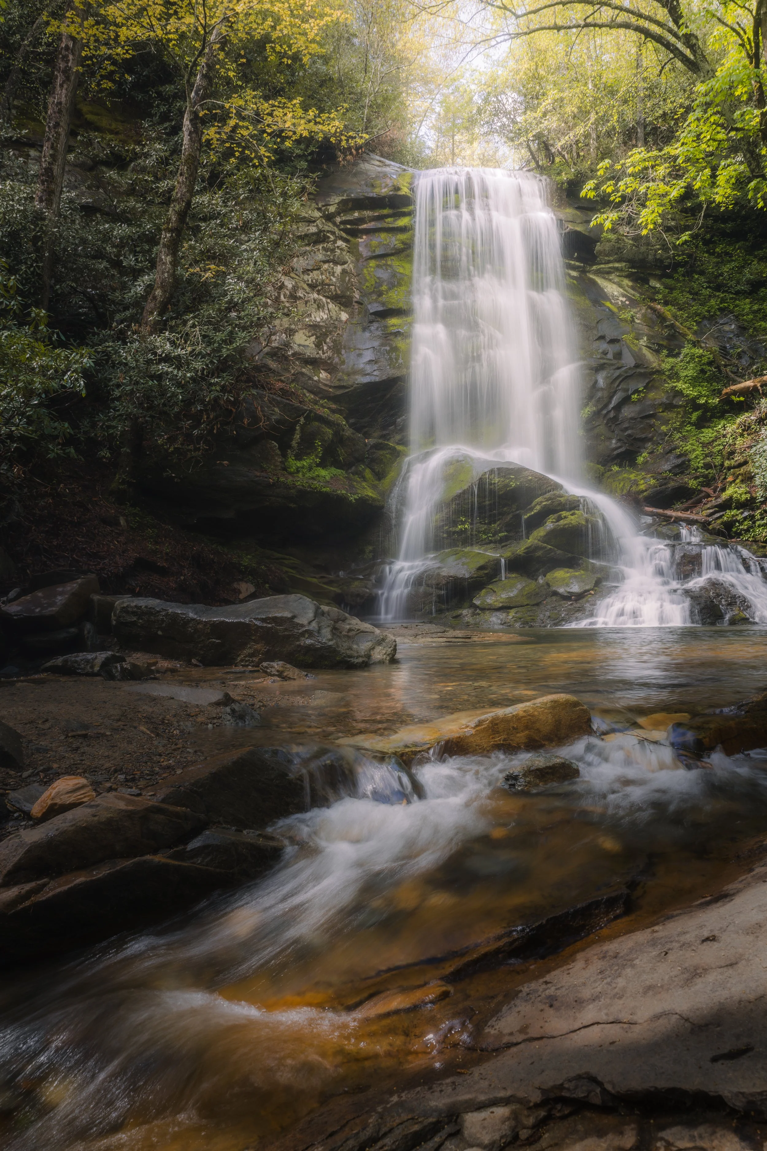 A scenic view of a waterfall cascading down a rocky cliff into a shallow river surrounded by green trees.