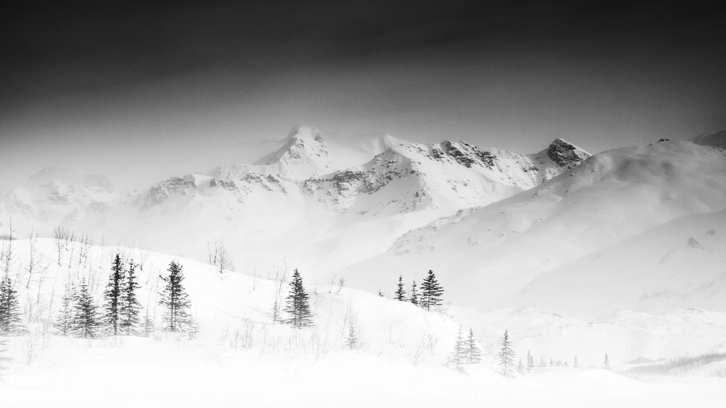 Snow-covered mountain range with trees in the foreground and a dark sky.