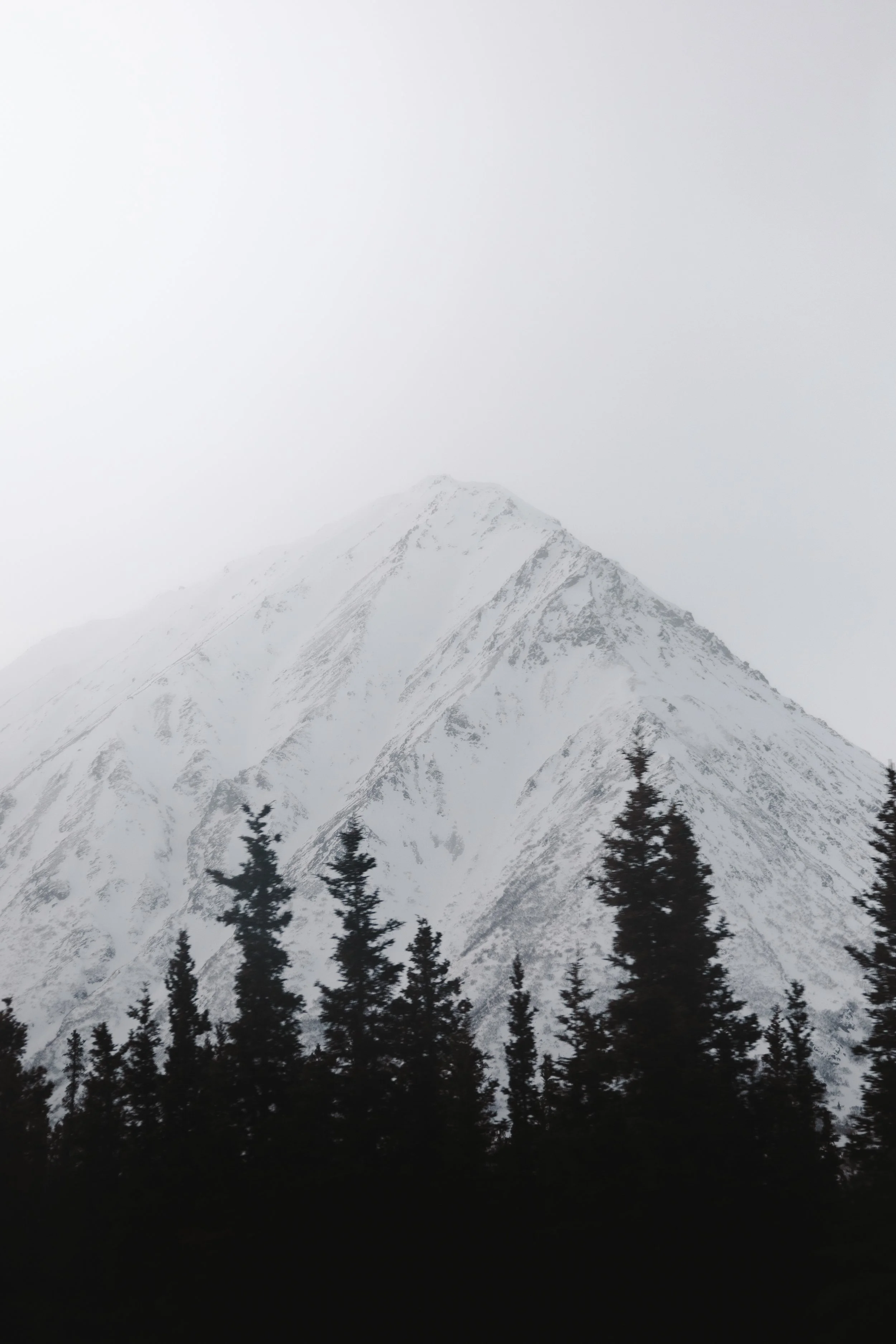 Snow-covered mountain peak with dark pine trees in foreground, overcast sky