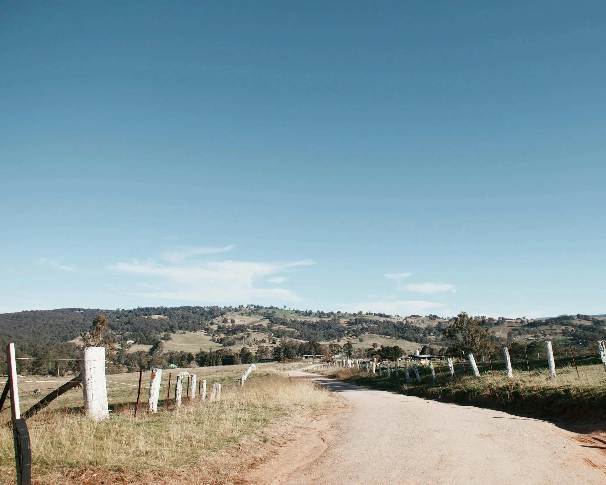 A dirt road winding through open countryside with grassy fields and a fence on each side, leading towards rolling hills under a clear blue sky.