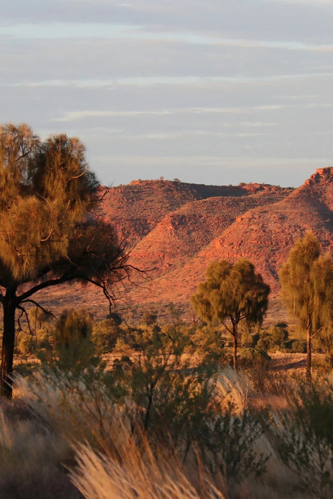 Sunset over a dry, rocky desert landscape with sparse trees and bushes, red-tinted hills, and a cloudy sky.