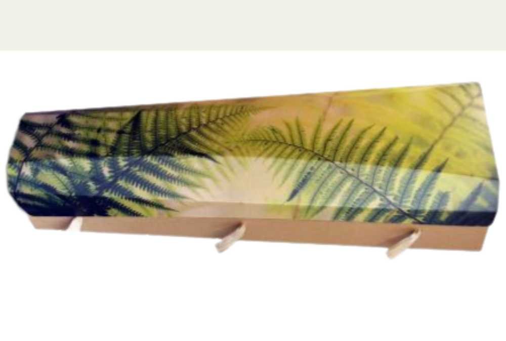 Outside the box casket - fernery