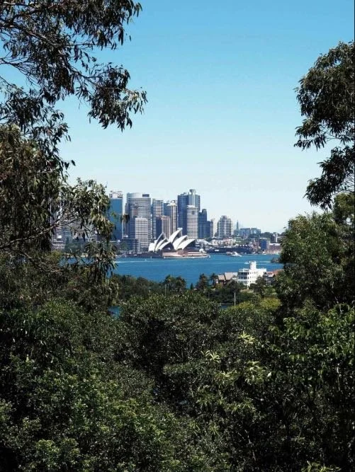 North Shore of Sydney - view of the Harbour on sunny day