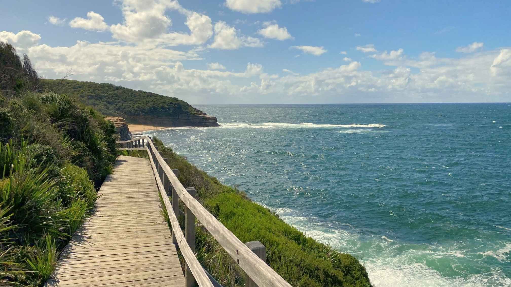 Coastal track along the Central Coast