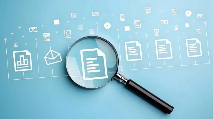 Efficiency at a Cost: How a Fiscal Rule on Disbursement Timelines Shifted Public Investment Toward Repairs