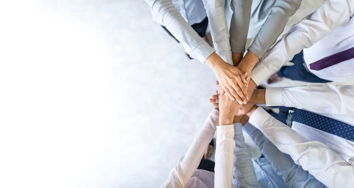The Influence of Organizational Characteristics of High-Performing Firms on Work Engagement and Employee Performance: The Moderating Role of Age