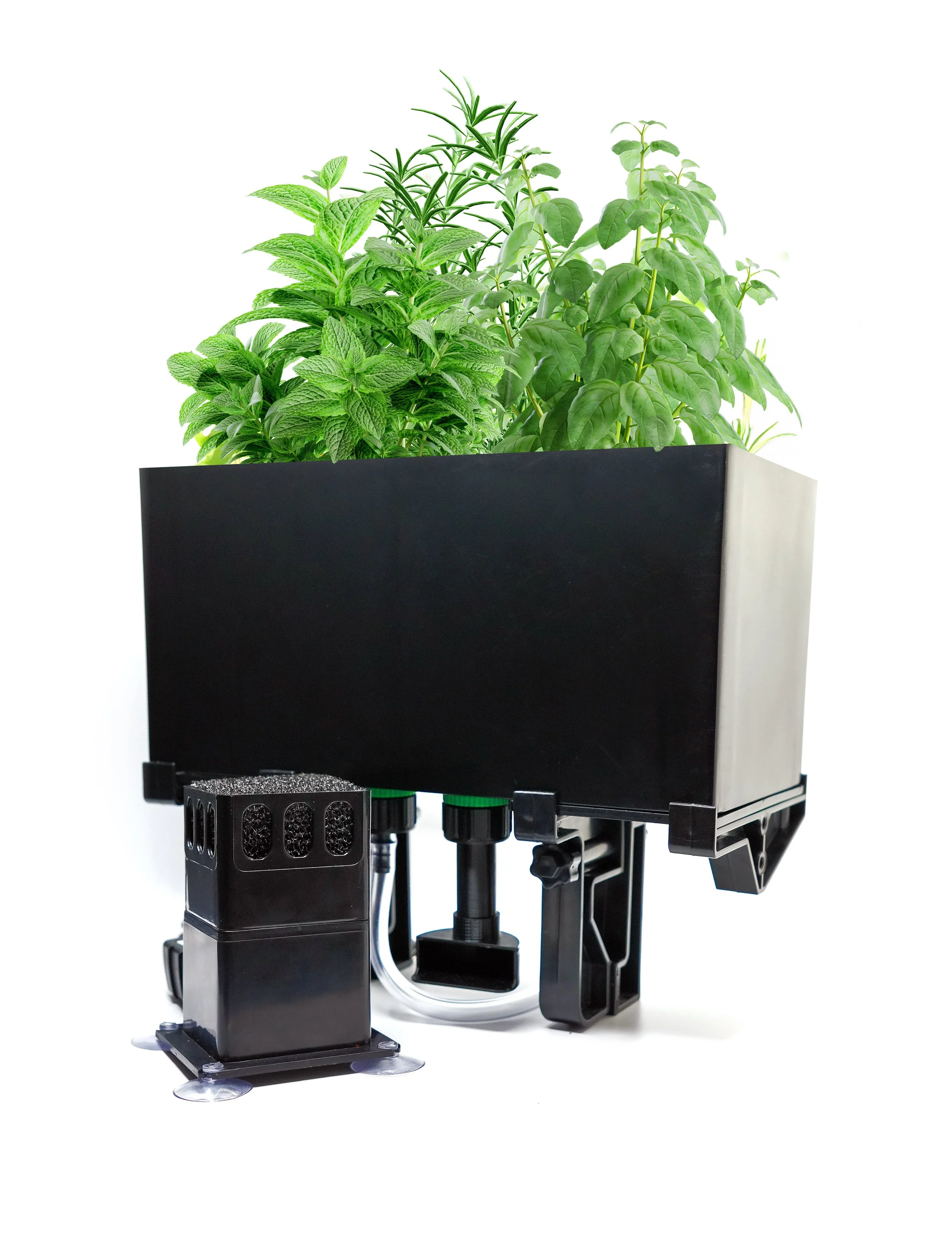 product photo with plants - iso.jpg