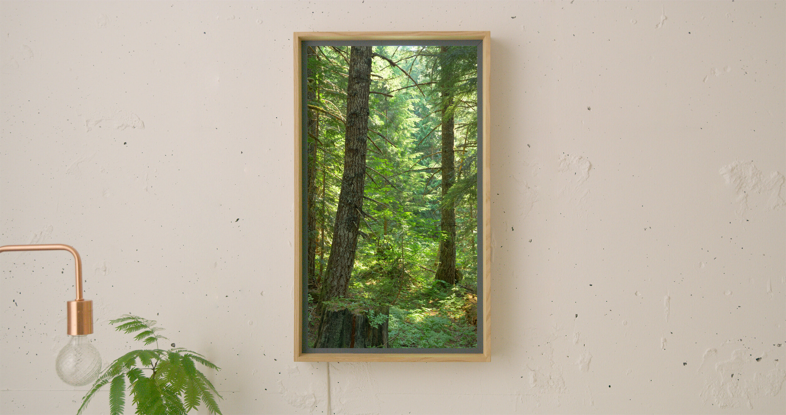 AW2_whitewall_wood.jpg