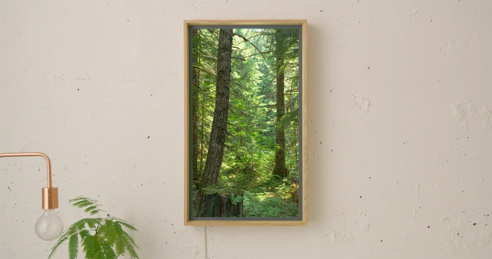 Atmoph Window 2 — RYOTA YOKOZEKI STUDIO 