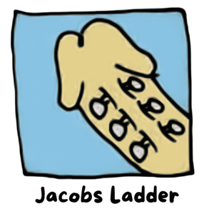 Jacob's Ladder Piercing FAQ By APP Certified Piercers in NYC