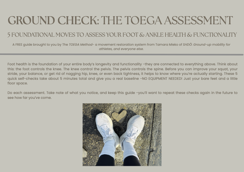 TOEGA ASSESSMENT 1.png