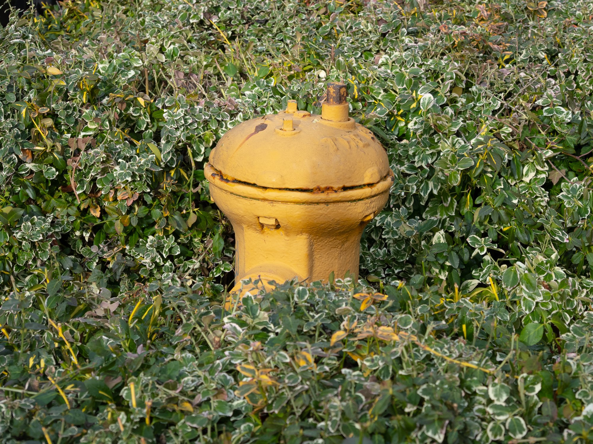 site_TN-06.jpg