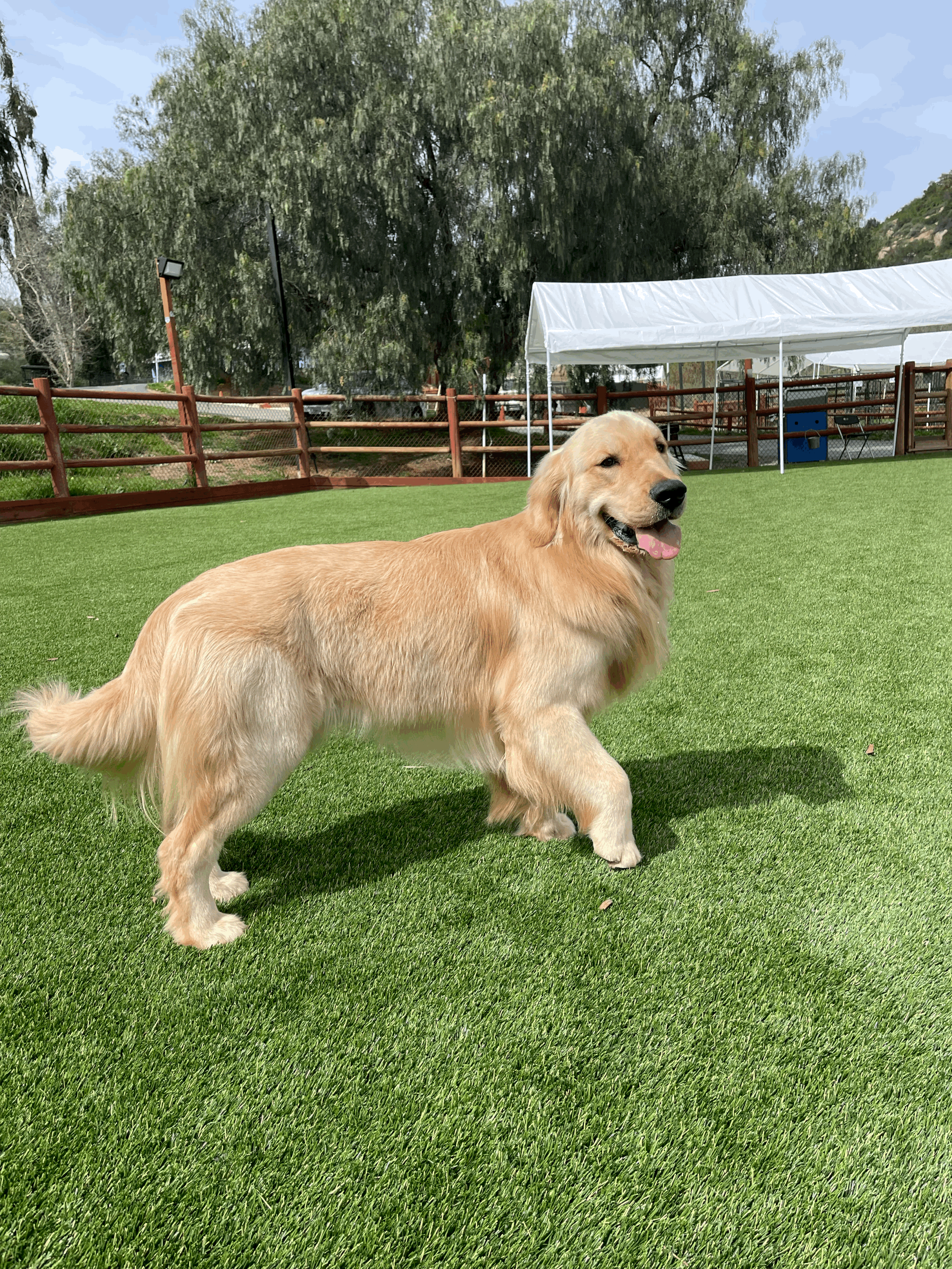 tempImageD1Zn8G.gif