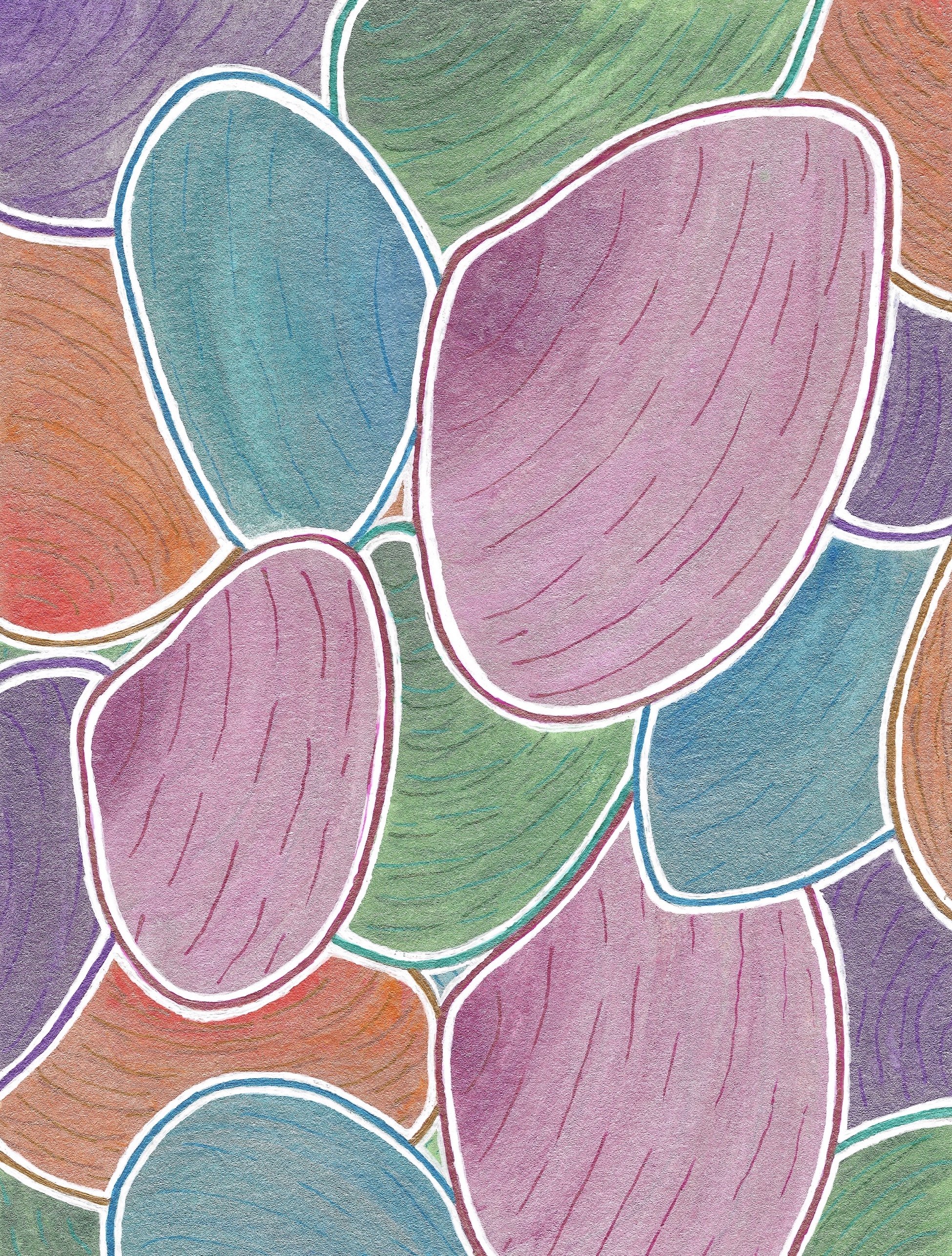 MultiSeashells copy.jpg