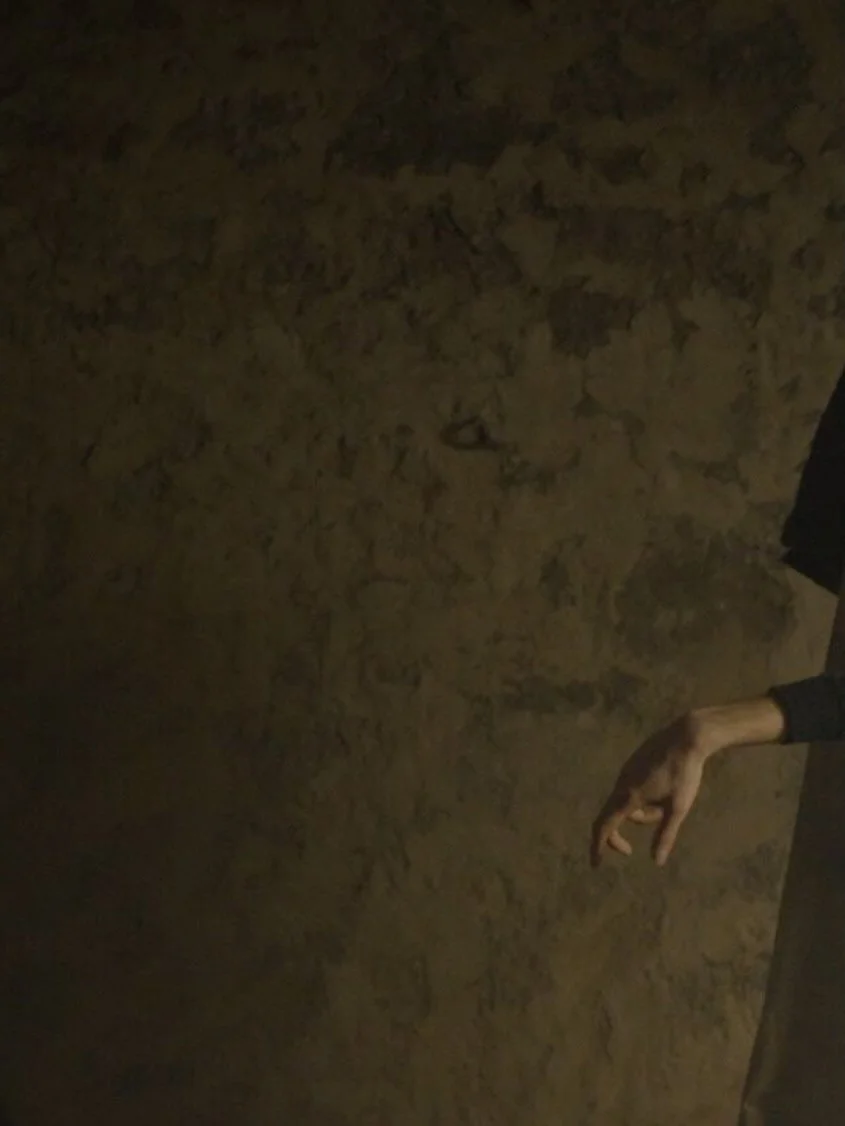 Corte dell Arte - exhibition 2026 - 

en compagnie de @annemourier et @monairhyman 

Image : @hubert_caldagues 

#artist #artcontemporain #performanceart #drap&eacute; #toilelibre