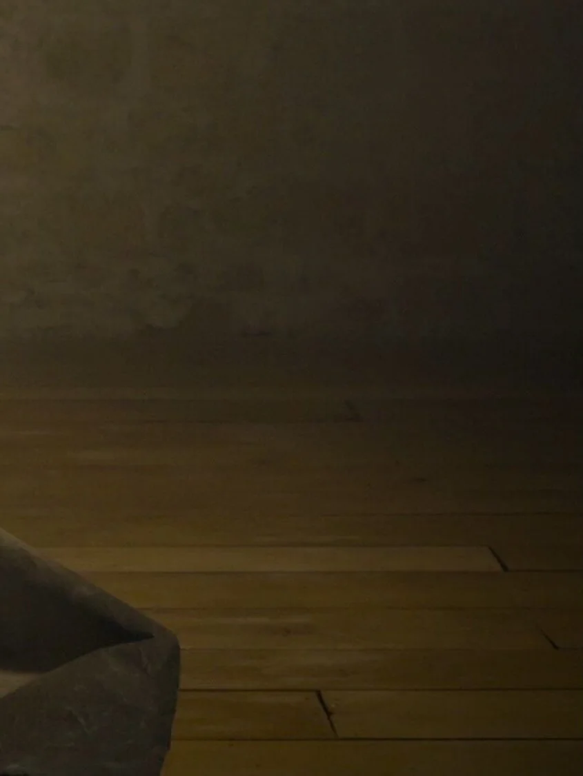 Corte dell Arte - exhibition 2026 - 

en compagnie de @annemourier et @monairhyman