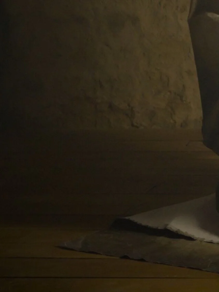 Corte dell Arte - exhibition 2026 - 

en compagnie de @annemourier et @monairhyman