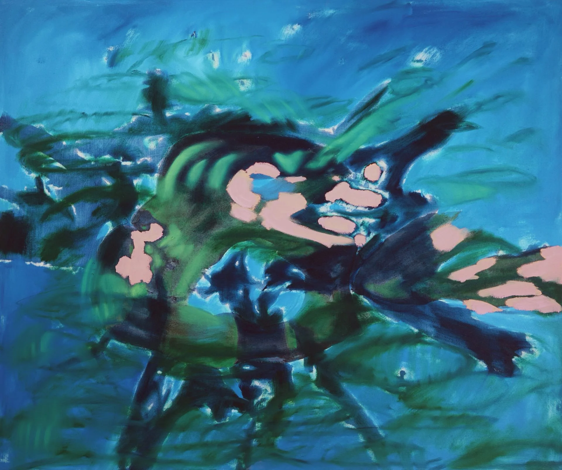   Lily & Friends,  Look Inside and Find Ugly